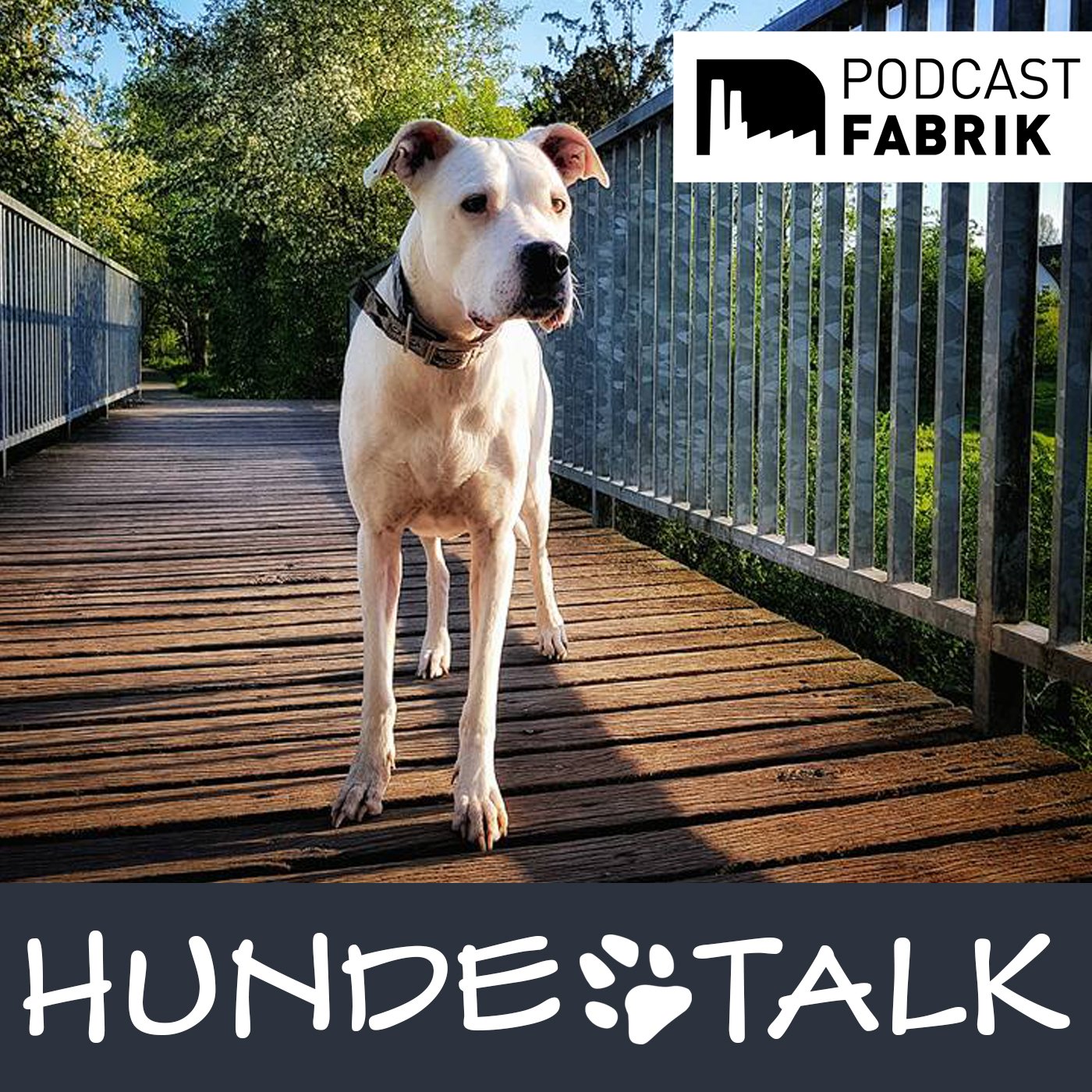 HUNDETALK - Dein Hunderunde-Podcast