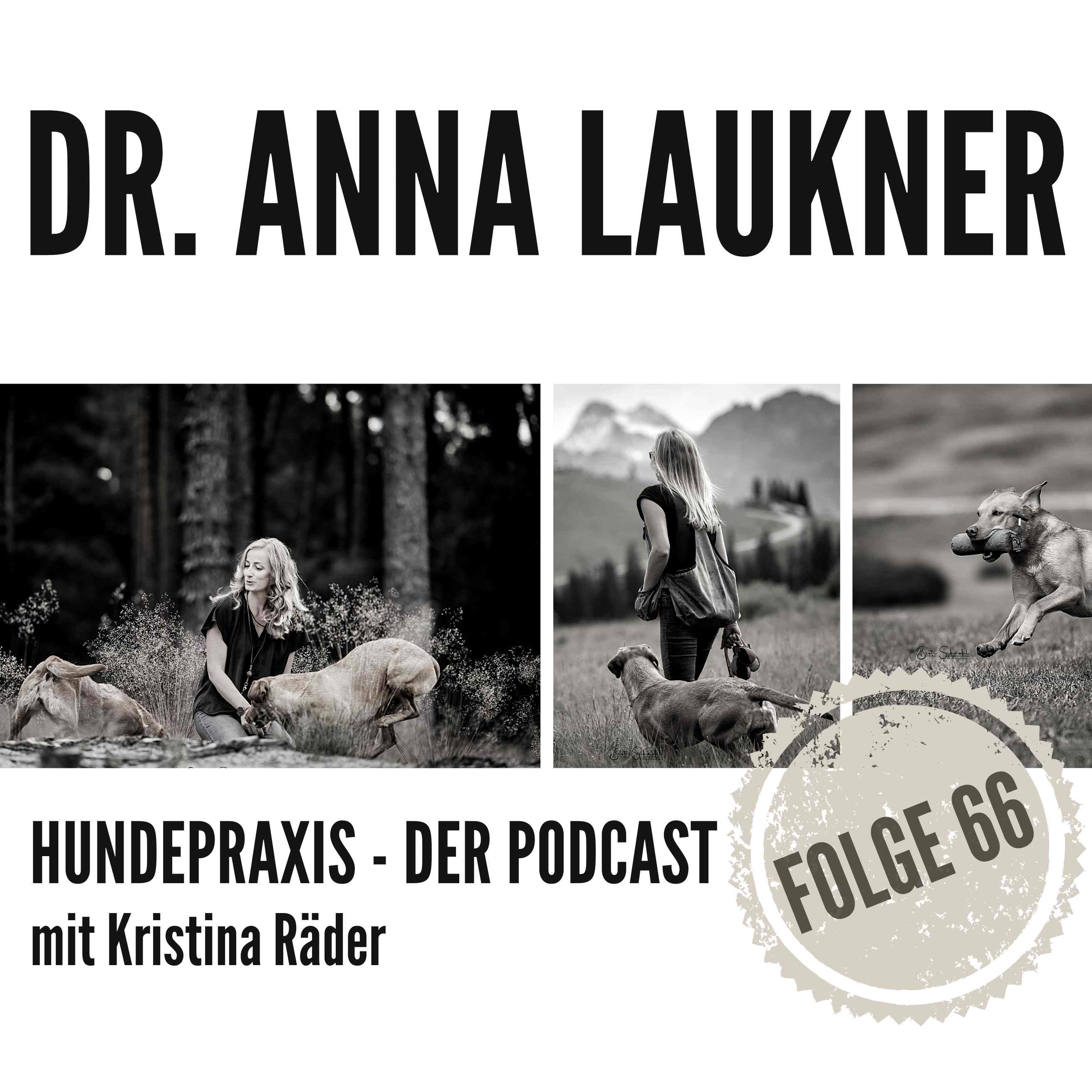 Hundepraxis - der Podcast