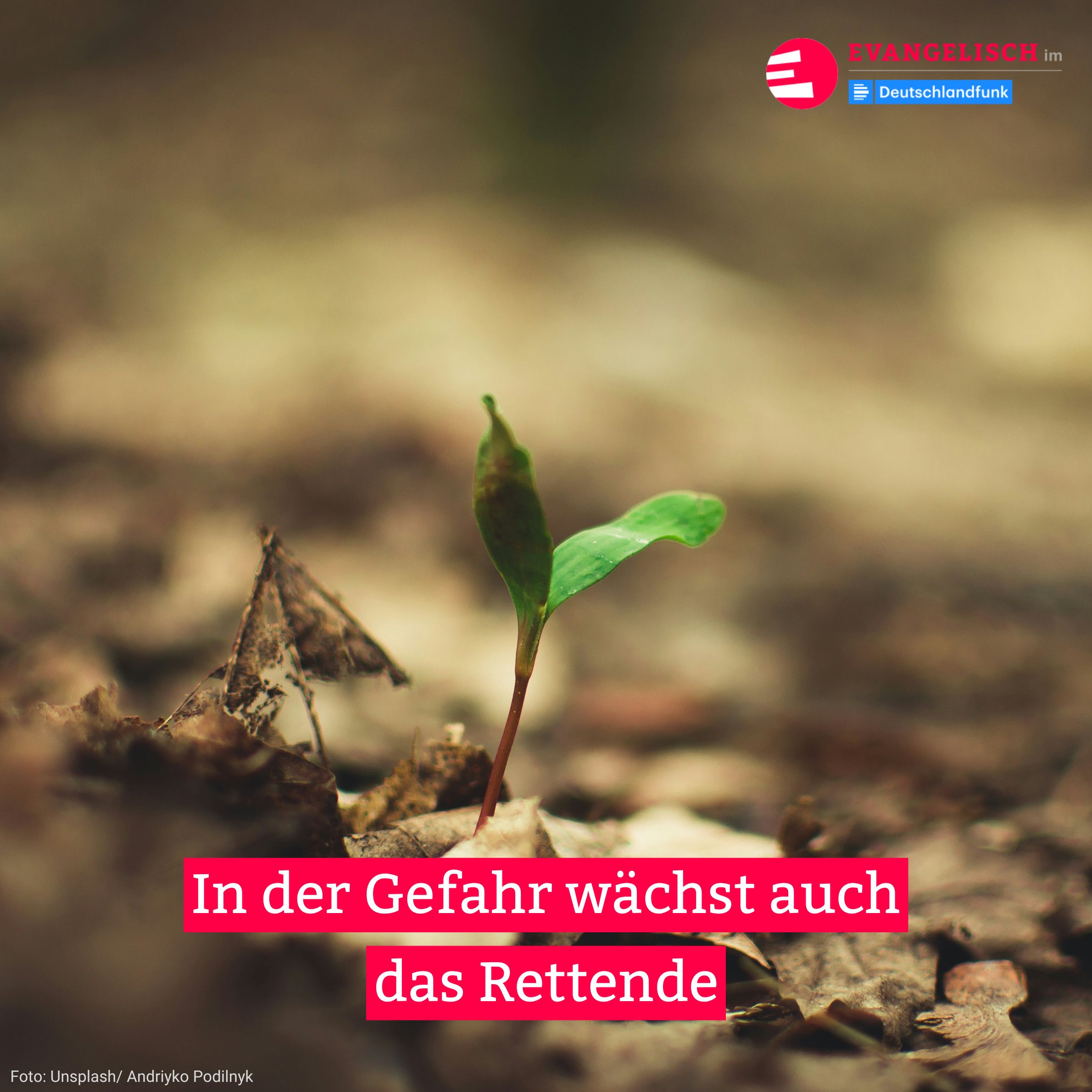 In der Gefahr wächst auch das Rettende episode artwork