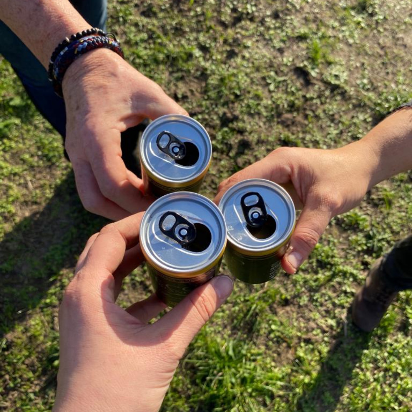 Der Pferdepodcast