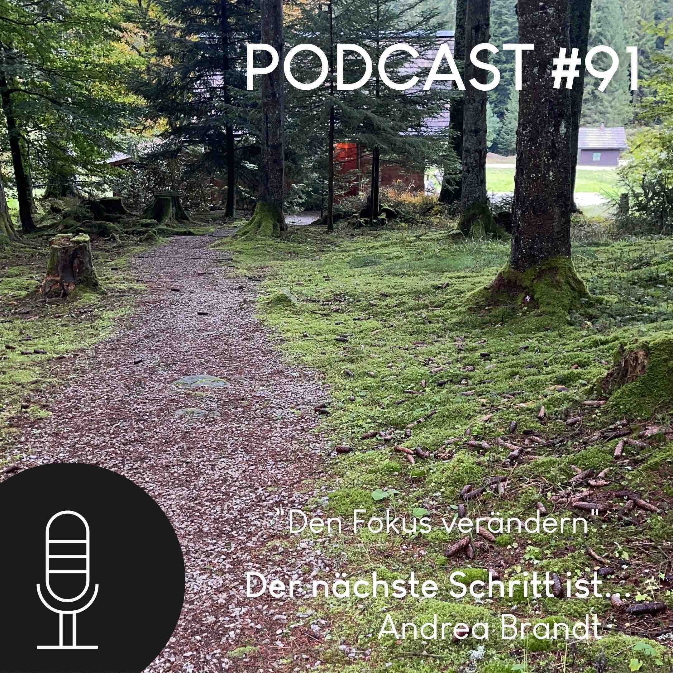 Andrea Brandt - Der nächste Schritt ist... das WAGNIS ABENTEUER LEBEN