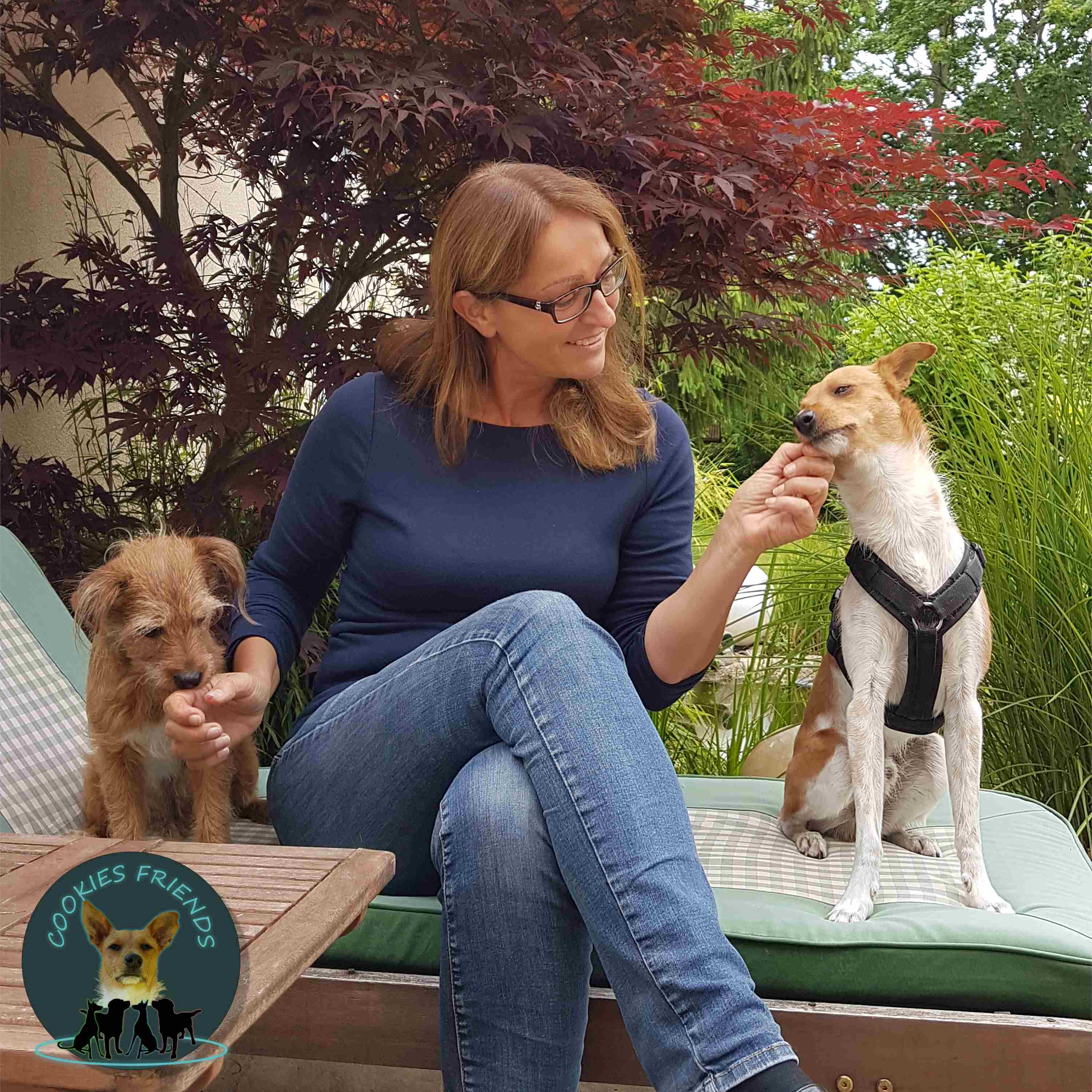 Cookies Friends. Der Podcast für Tierschutz-Hunde