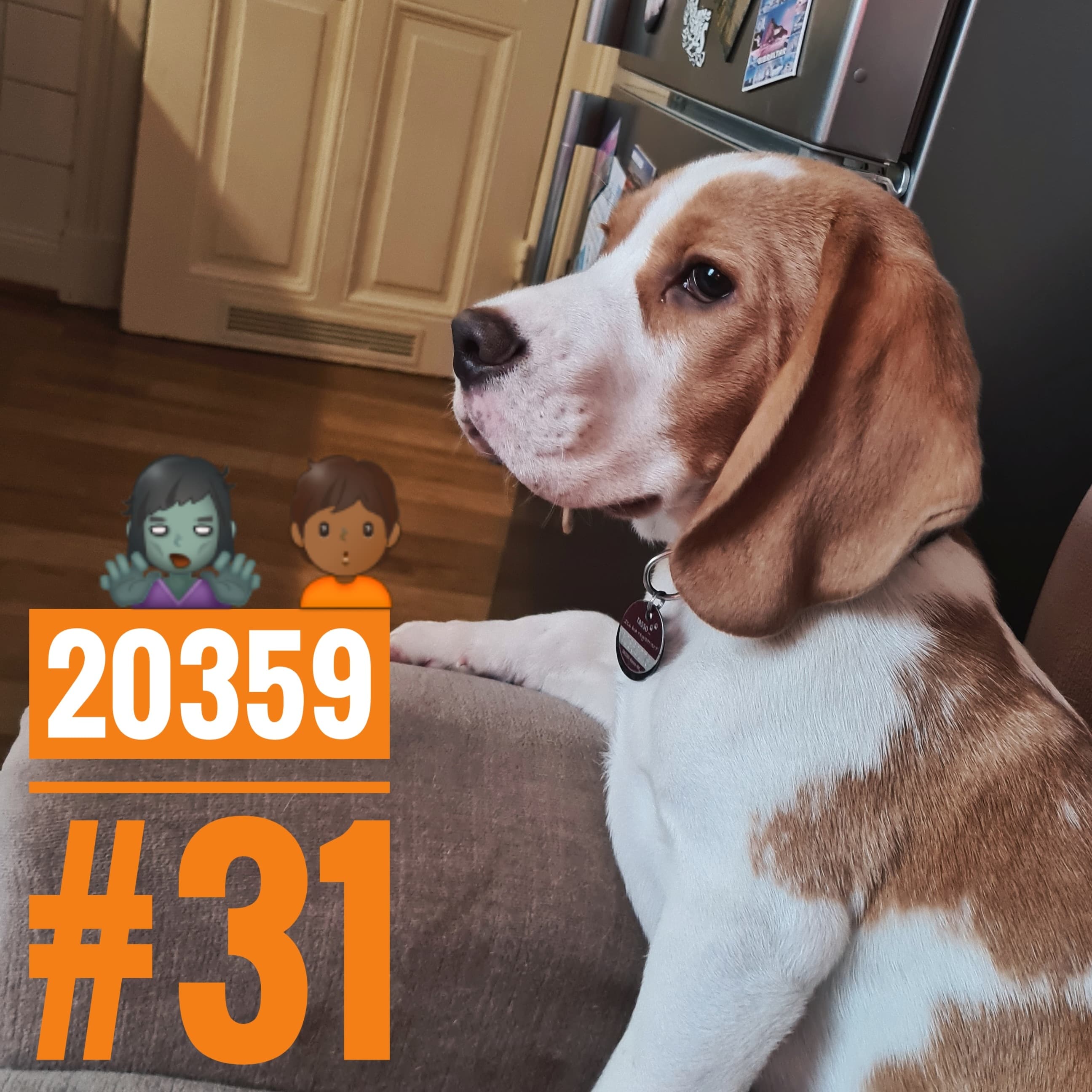 20359 Sankt Pauli