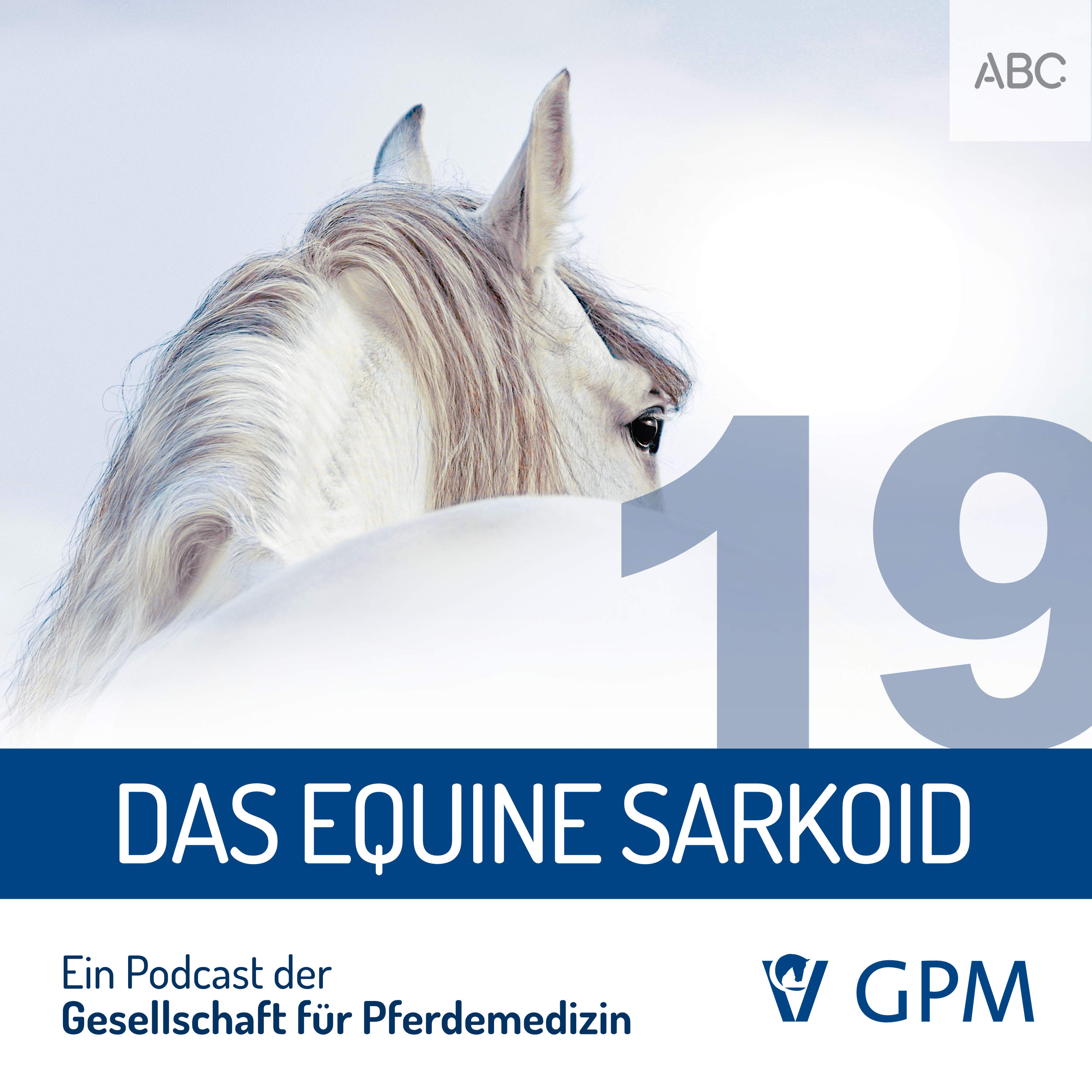 Pferdemedizin heute
