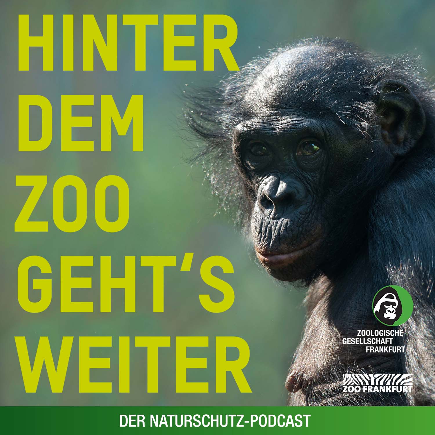 Hinter dem Zoo geht\'s weiter - Der Naturschutzpodcast aus Frankfurt