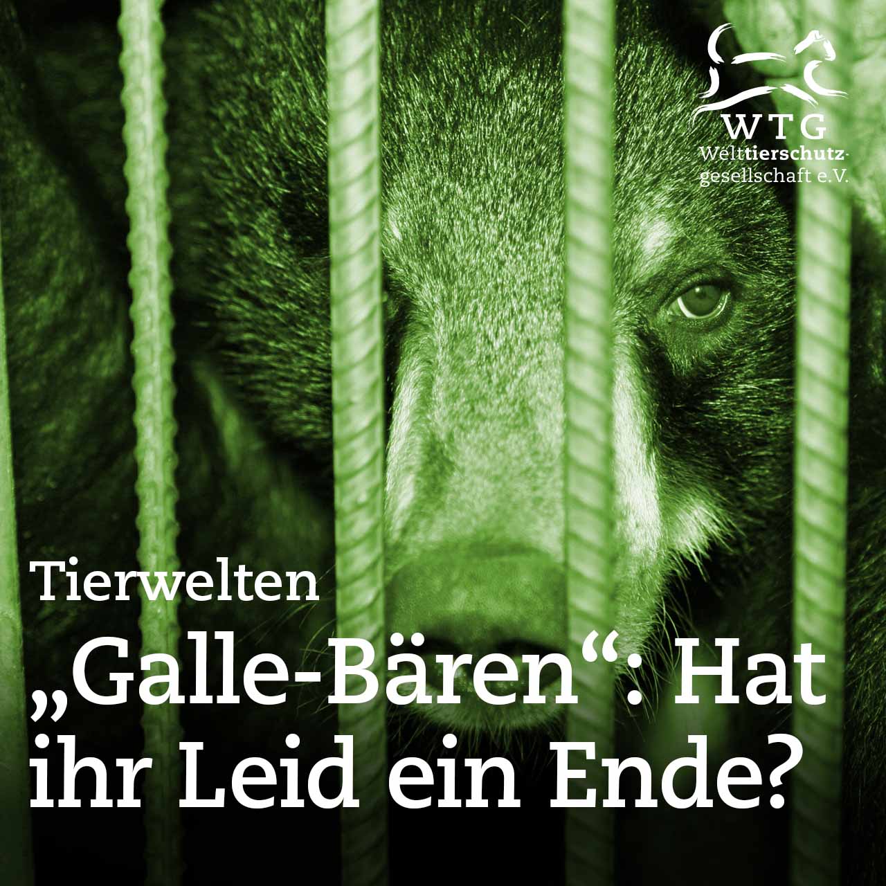 Tierwelten
