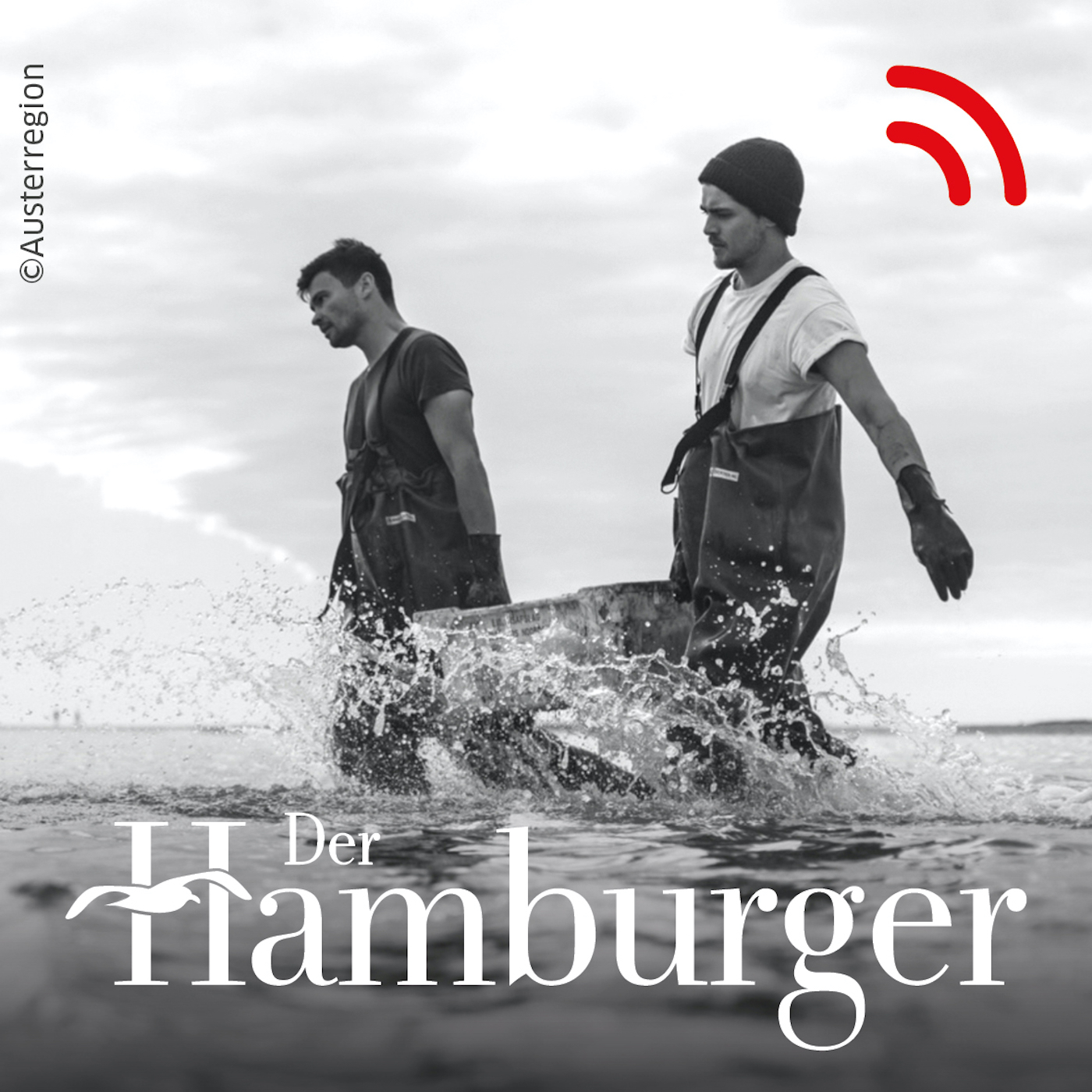 DER HAMBURGER Inside. Stimmen dieser Stadt