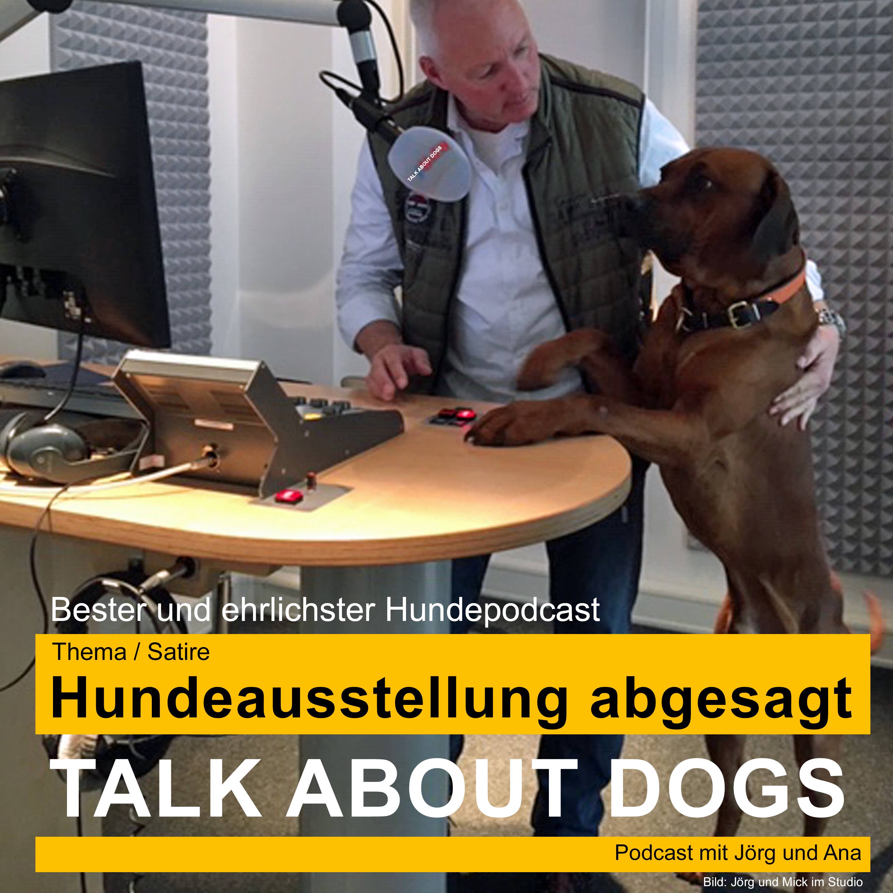 TALK ABOUT DOGS