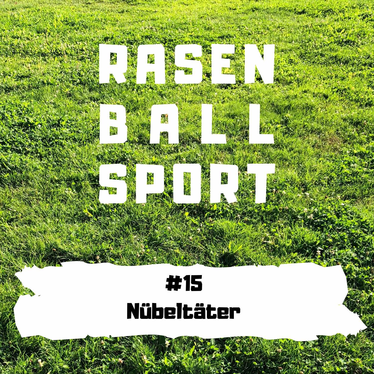 RASENBALLSPOTT