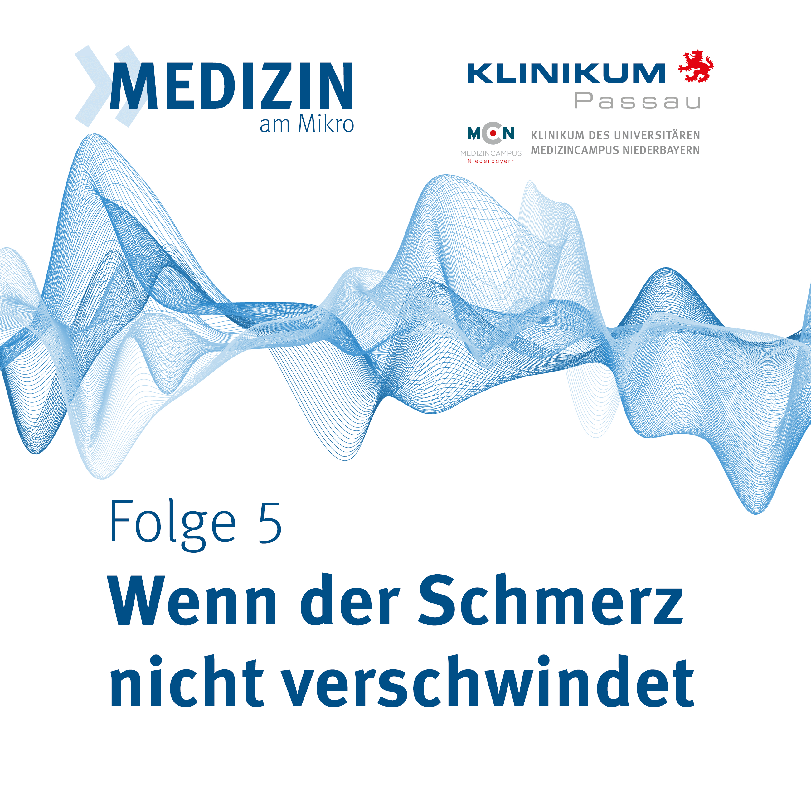 Wenn der Schmerz nicht mehr verschwindet episode artwork