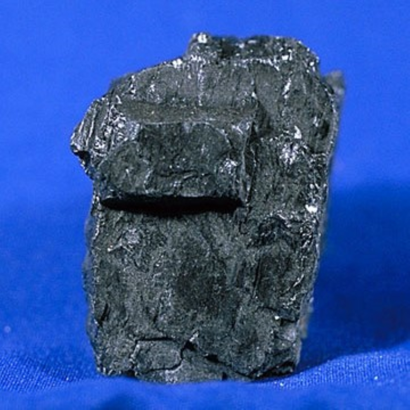 B-002: Das Karbon (359-300 mya): Das Entstehungzeitalter der Steinkohle im Ruhrgebiet, mit Dr. Kristina Eck