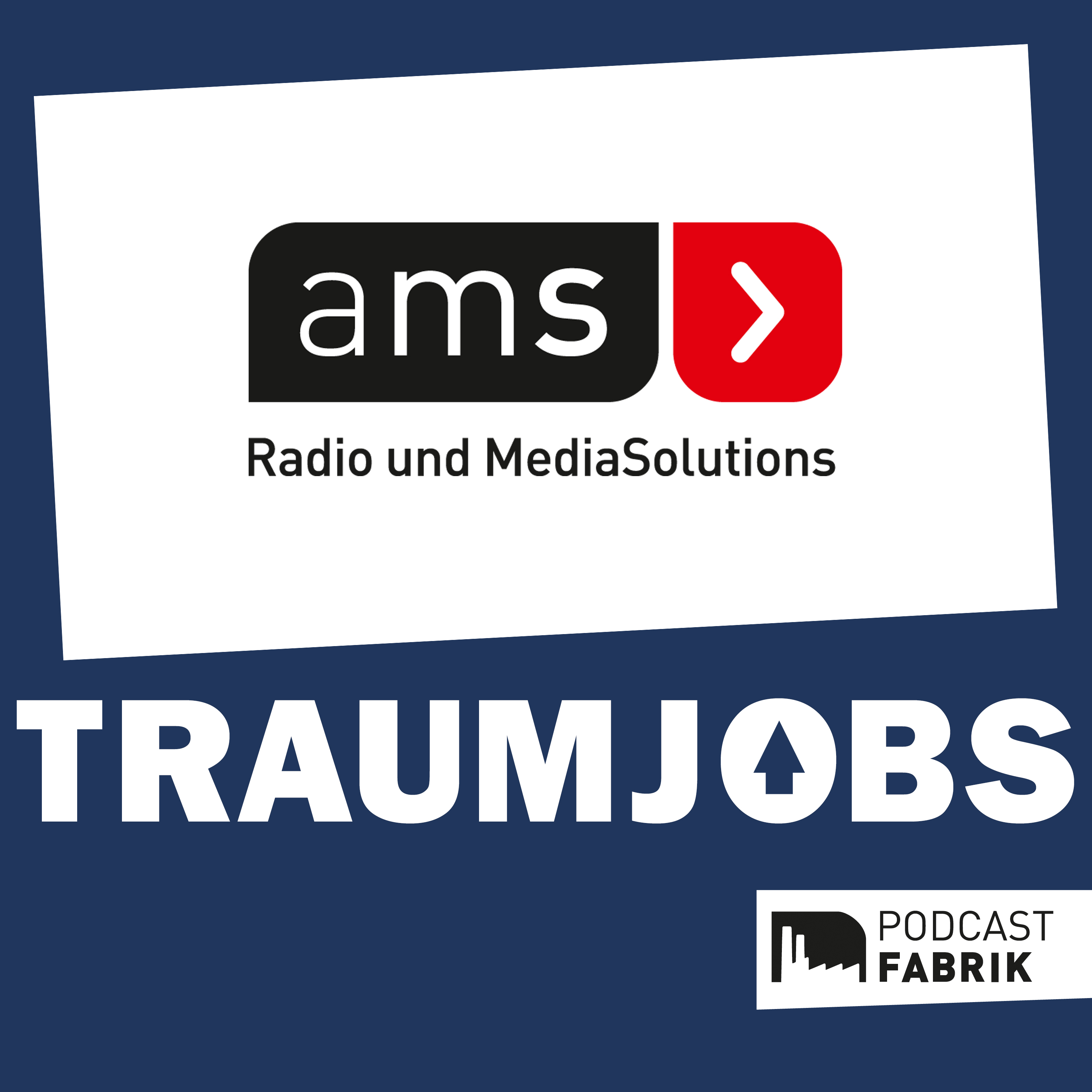 Media Sales Manager:in #12 episode artwork