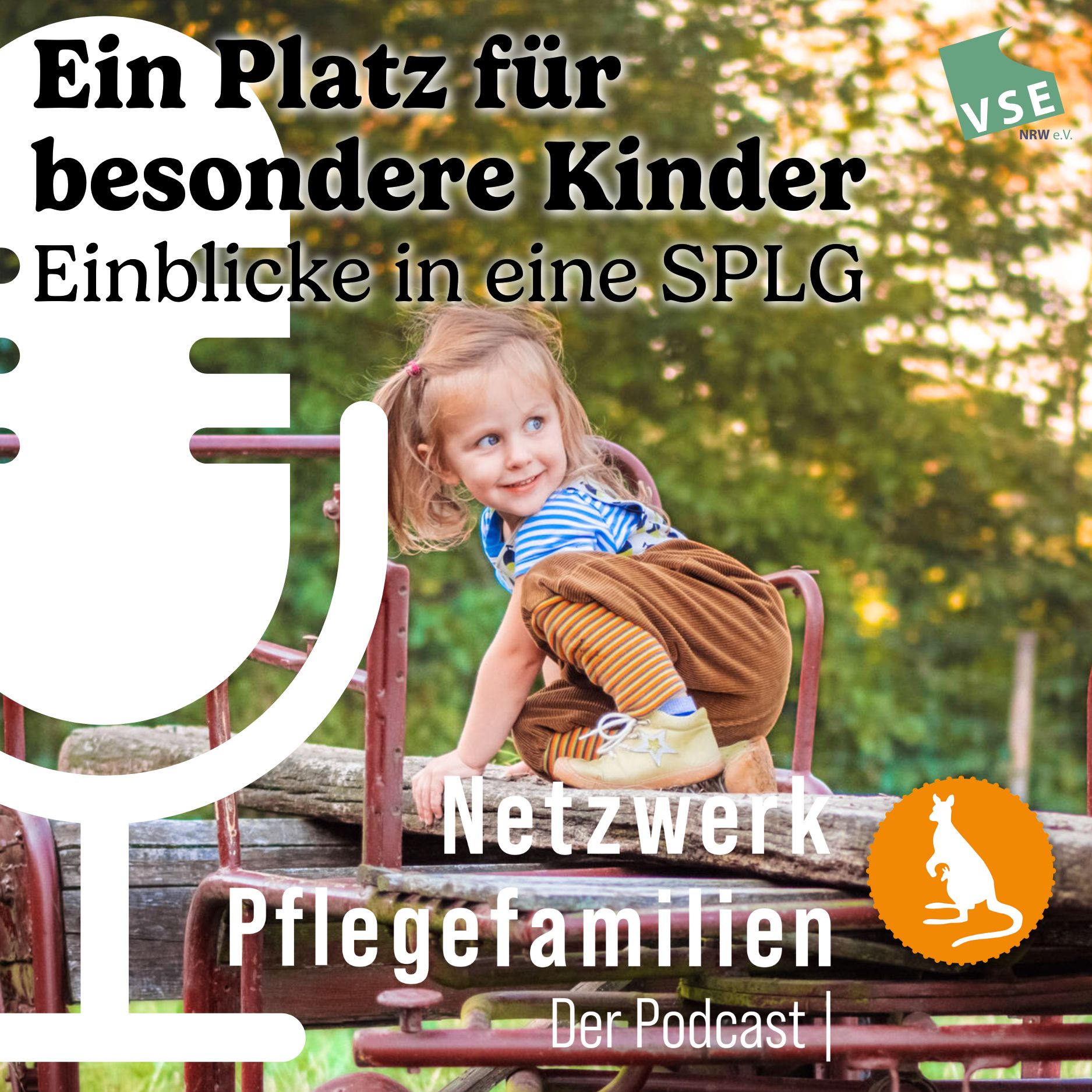 Netzwerk Pflegefamilien - Der Podcast