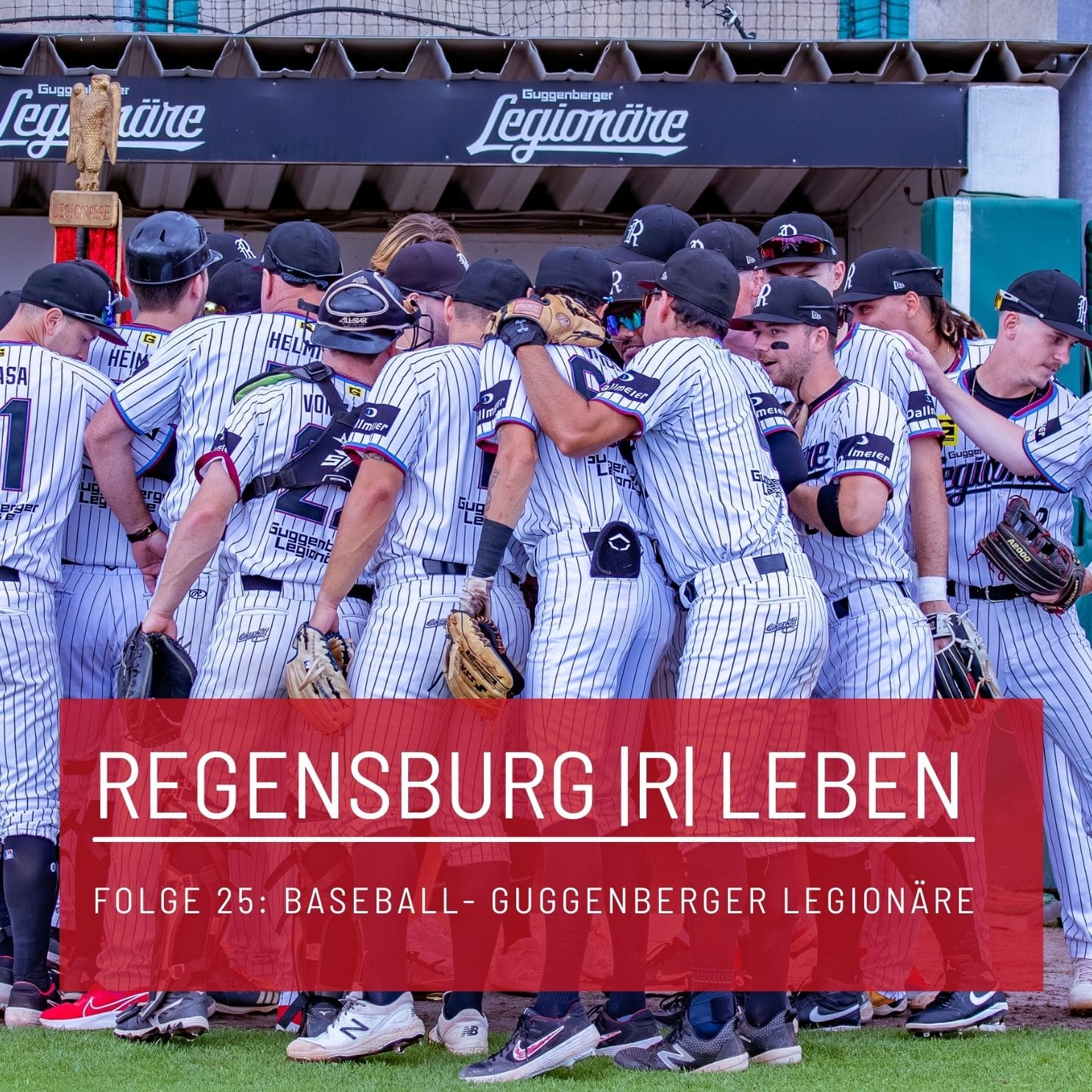 REGENSBURG |R| LEBEN