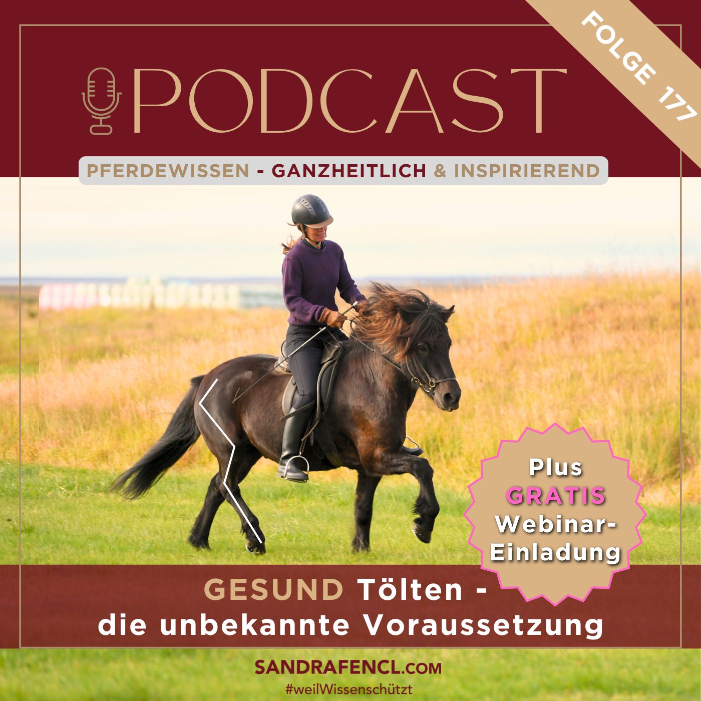 🐎☯Gesund tölten -