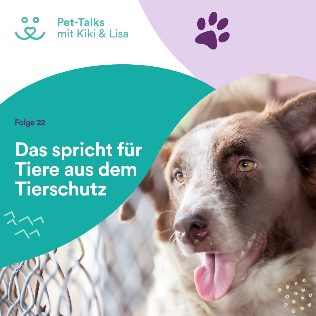 Pet-Talks mit Kiki & Lisa - der Hunde-Podcast von DeineTierwelt