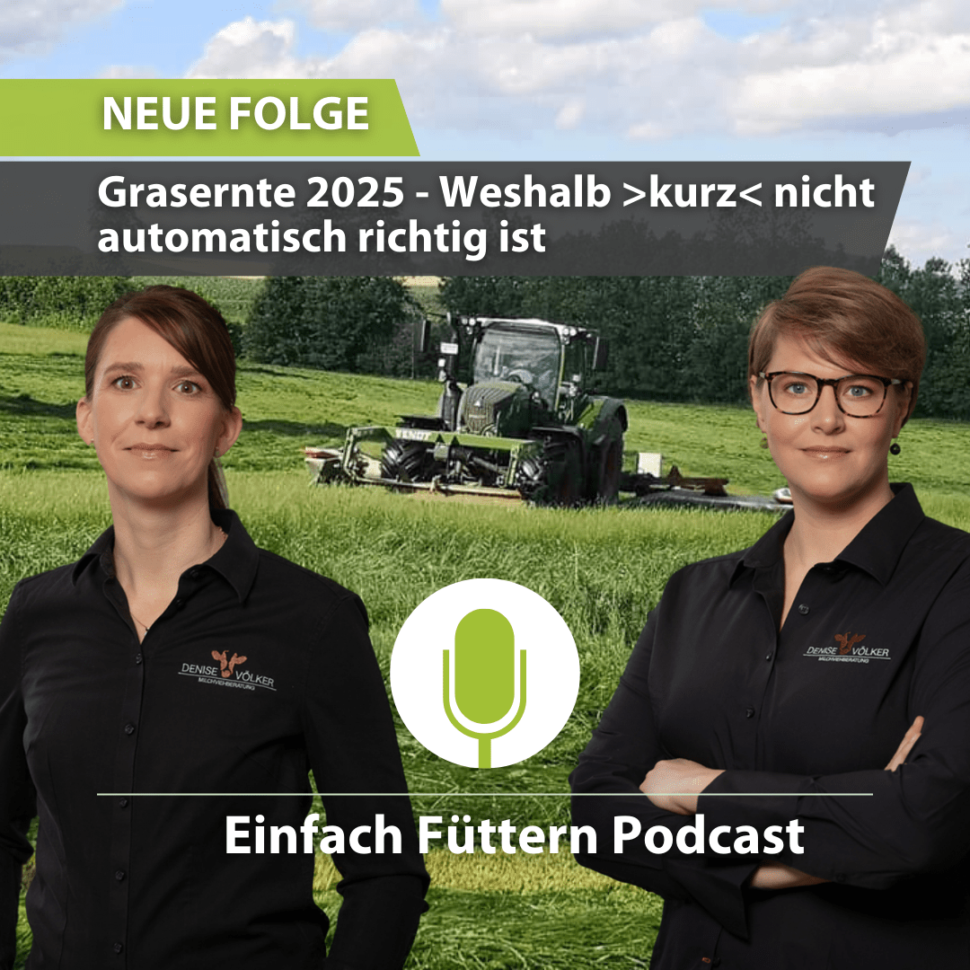 Einfach Füttern Podcast