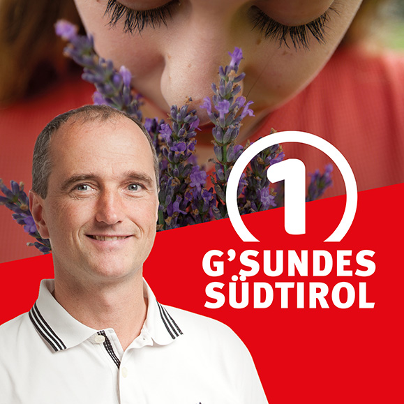 Sinnesorgan Nase Sinnesorgan Nase