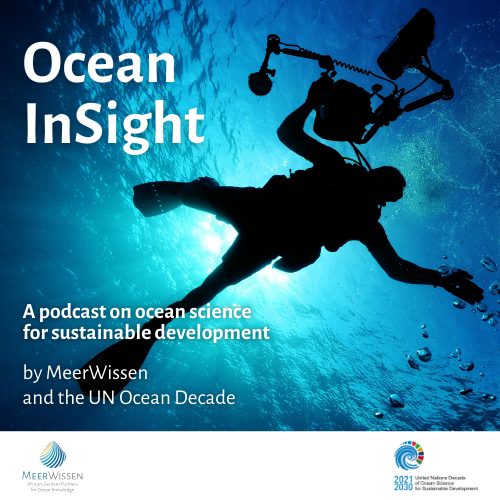 Ocean InSight by MeerWissen and the UN Ocean Decade