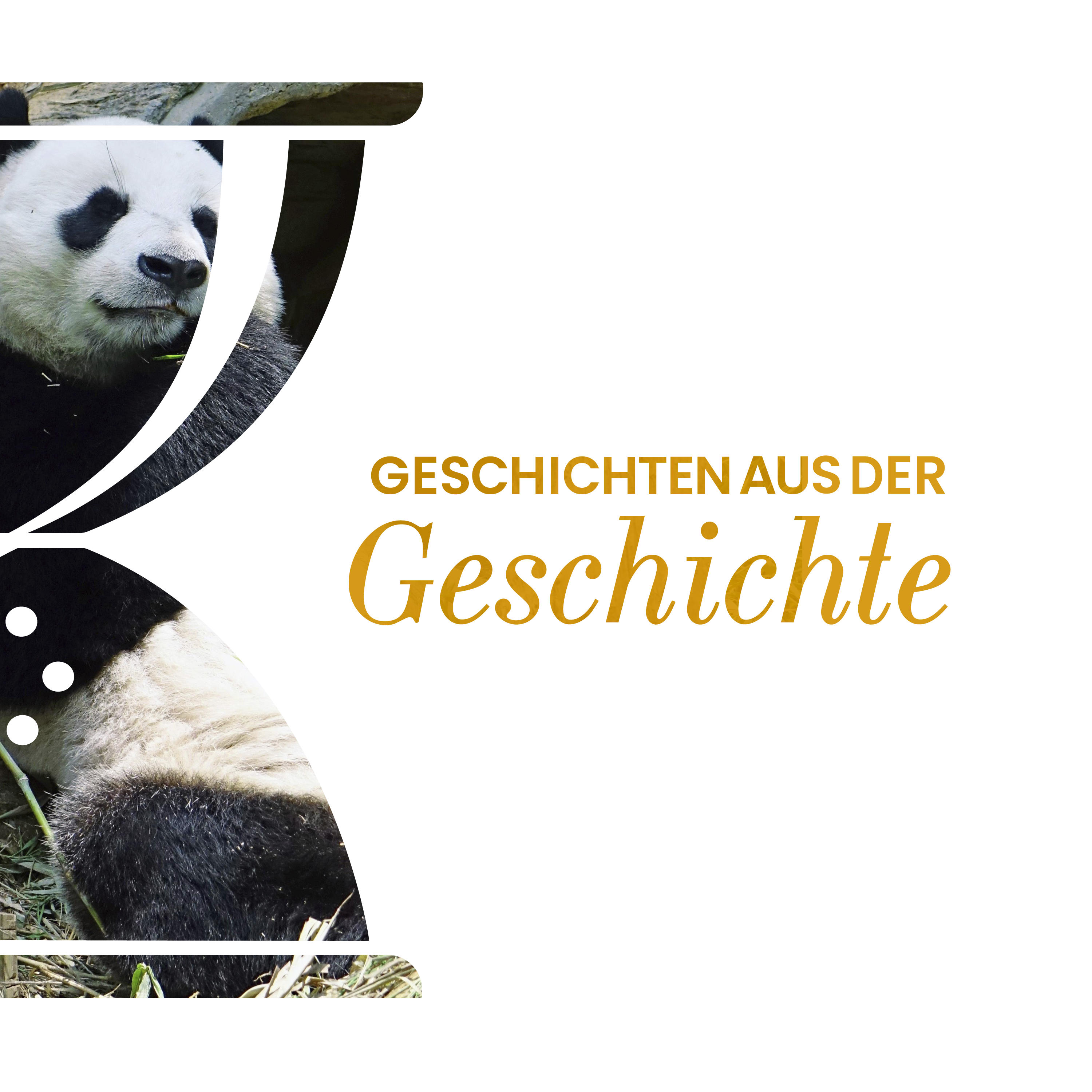 GAG520: Die Jagd nach dem Großen Panda