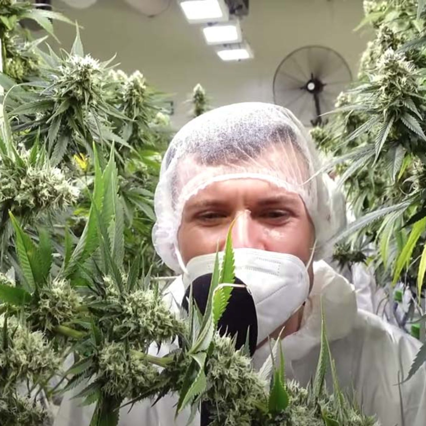 CannaZen 🥦 News & Wissen