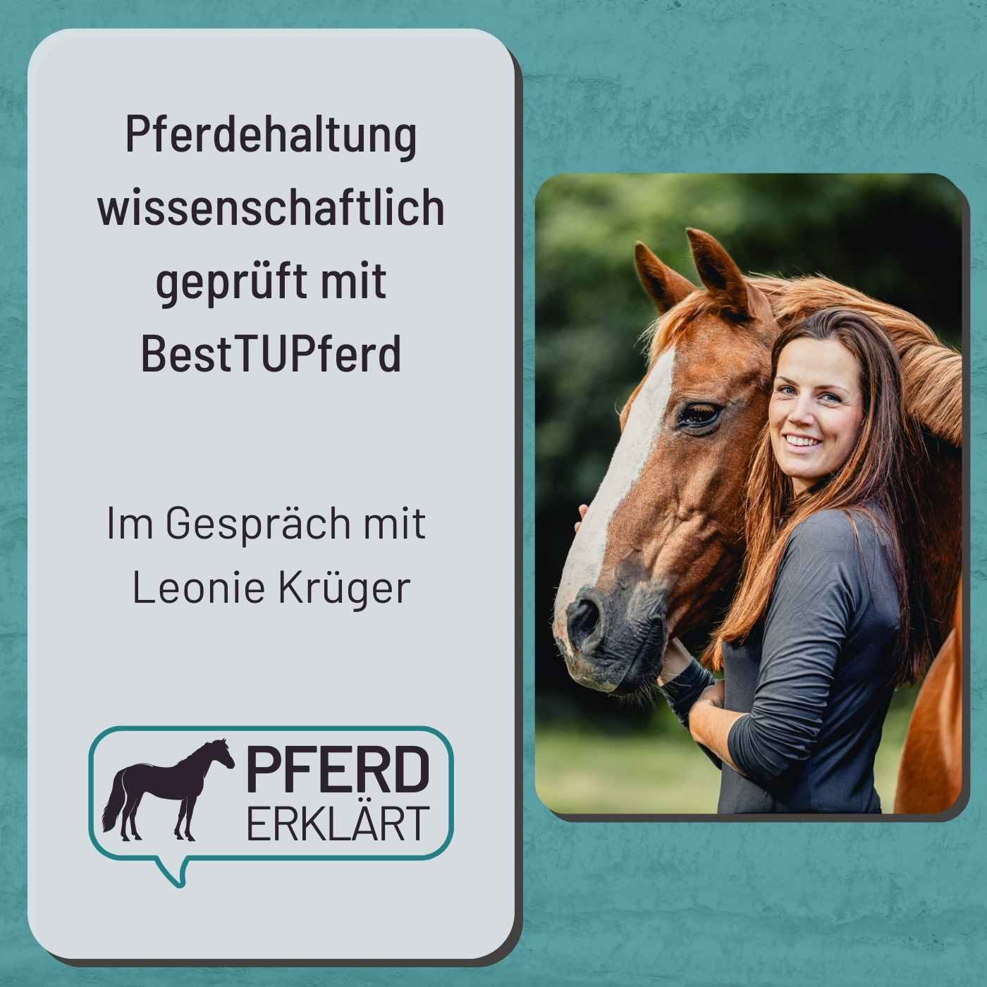 Pferd erklärt