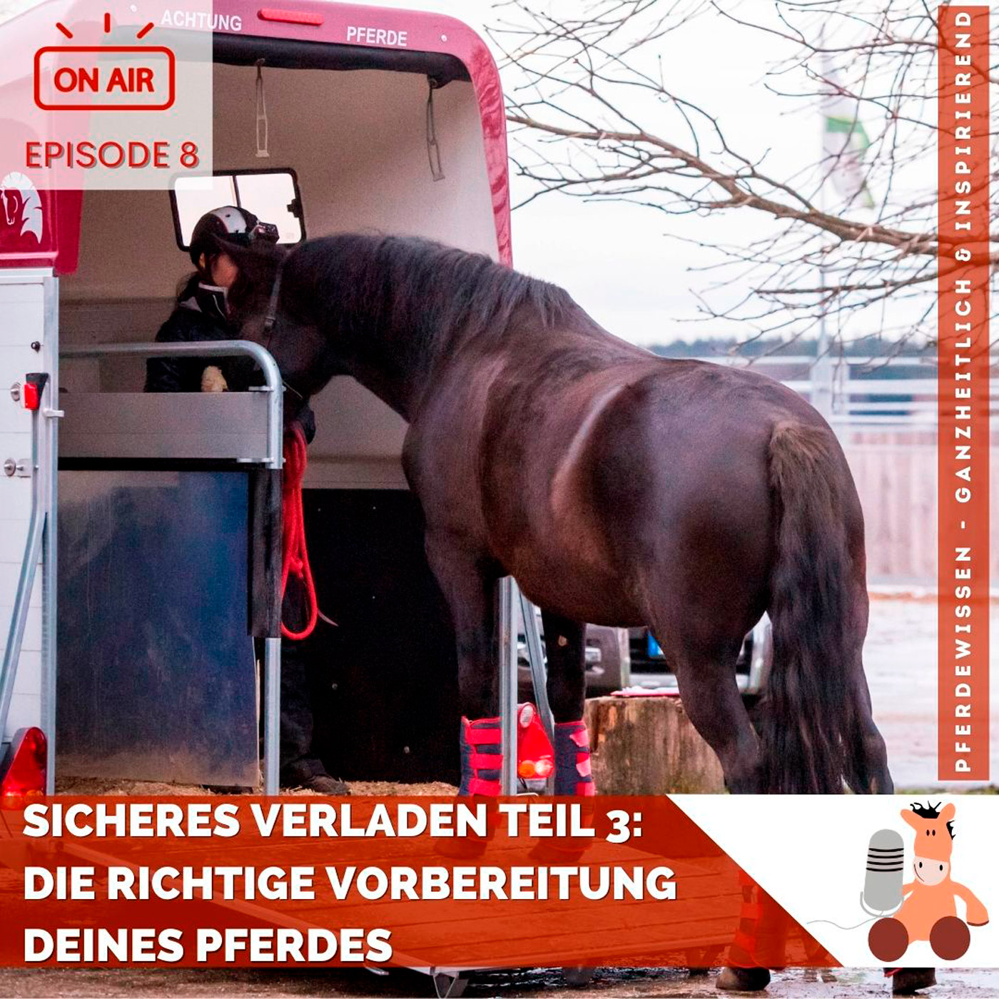 Sicheres Verladen, Teil 3: Die richtige Vorbereitung Deines Pferdes episode artwork