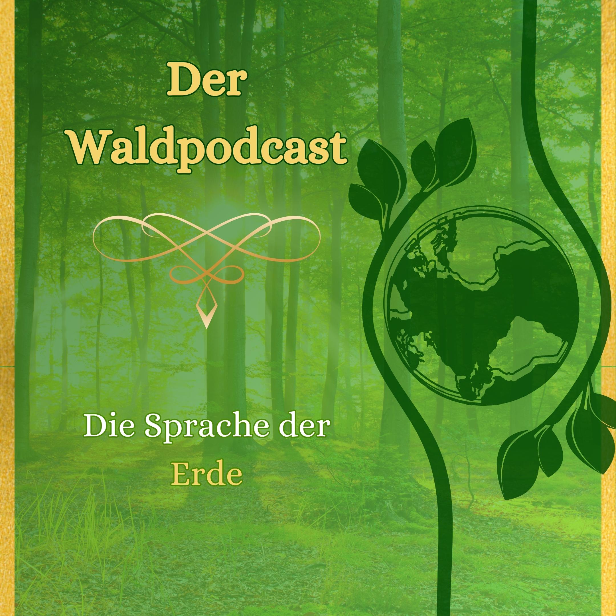 Waldpodcast - für deine innere & äußere Natur
