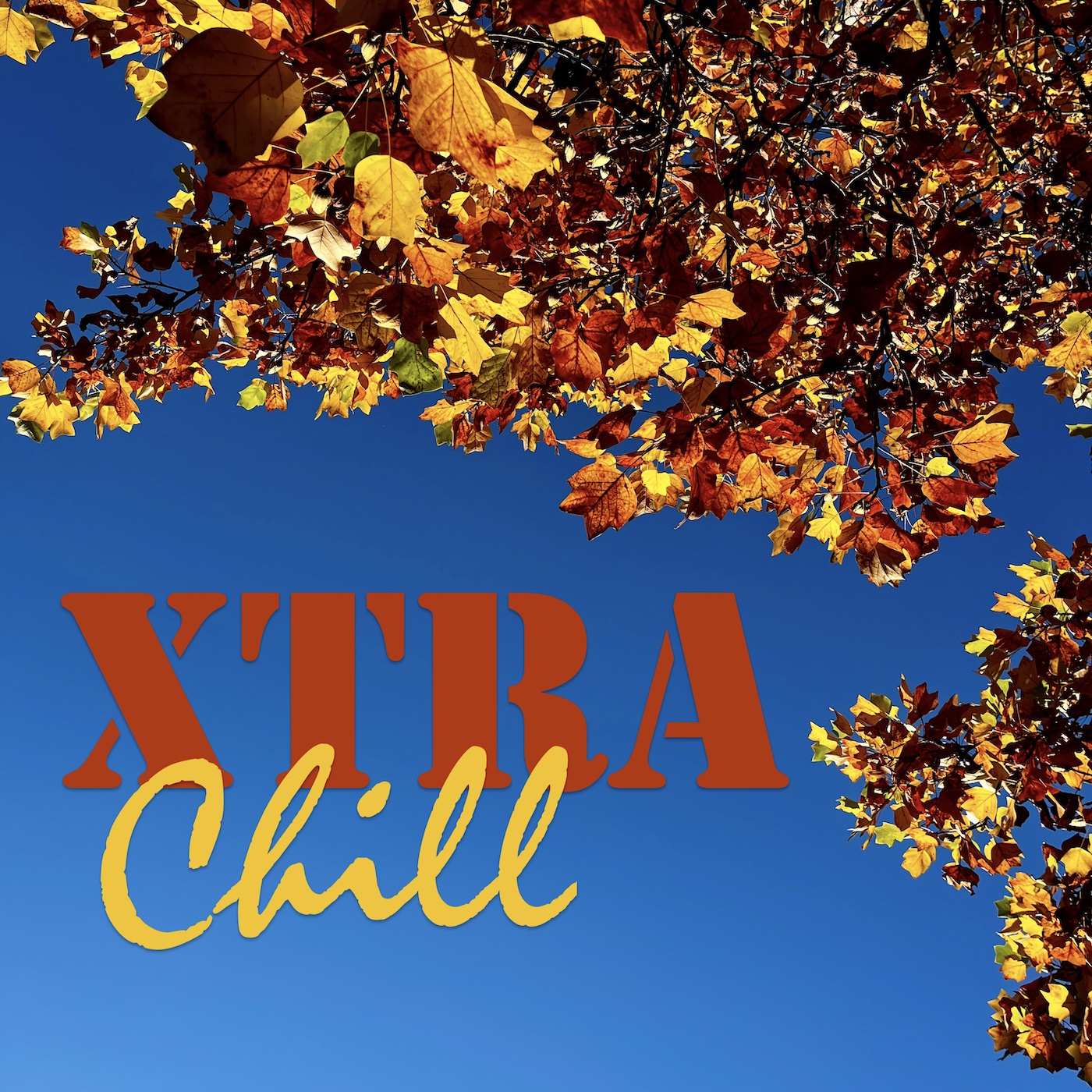 XtraChill 426