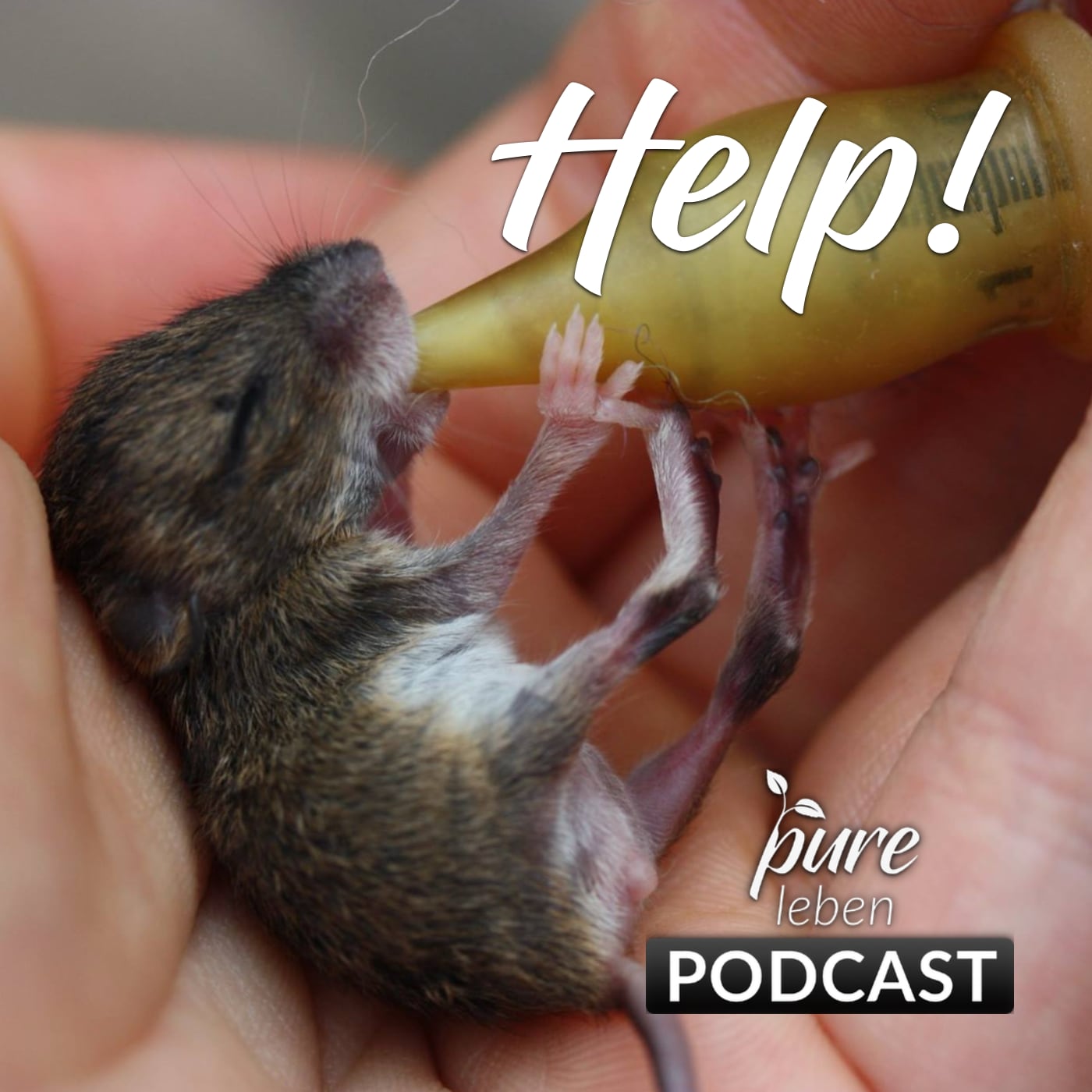 pure leben - Dein Future Lifestyle Podcast