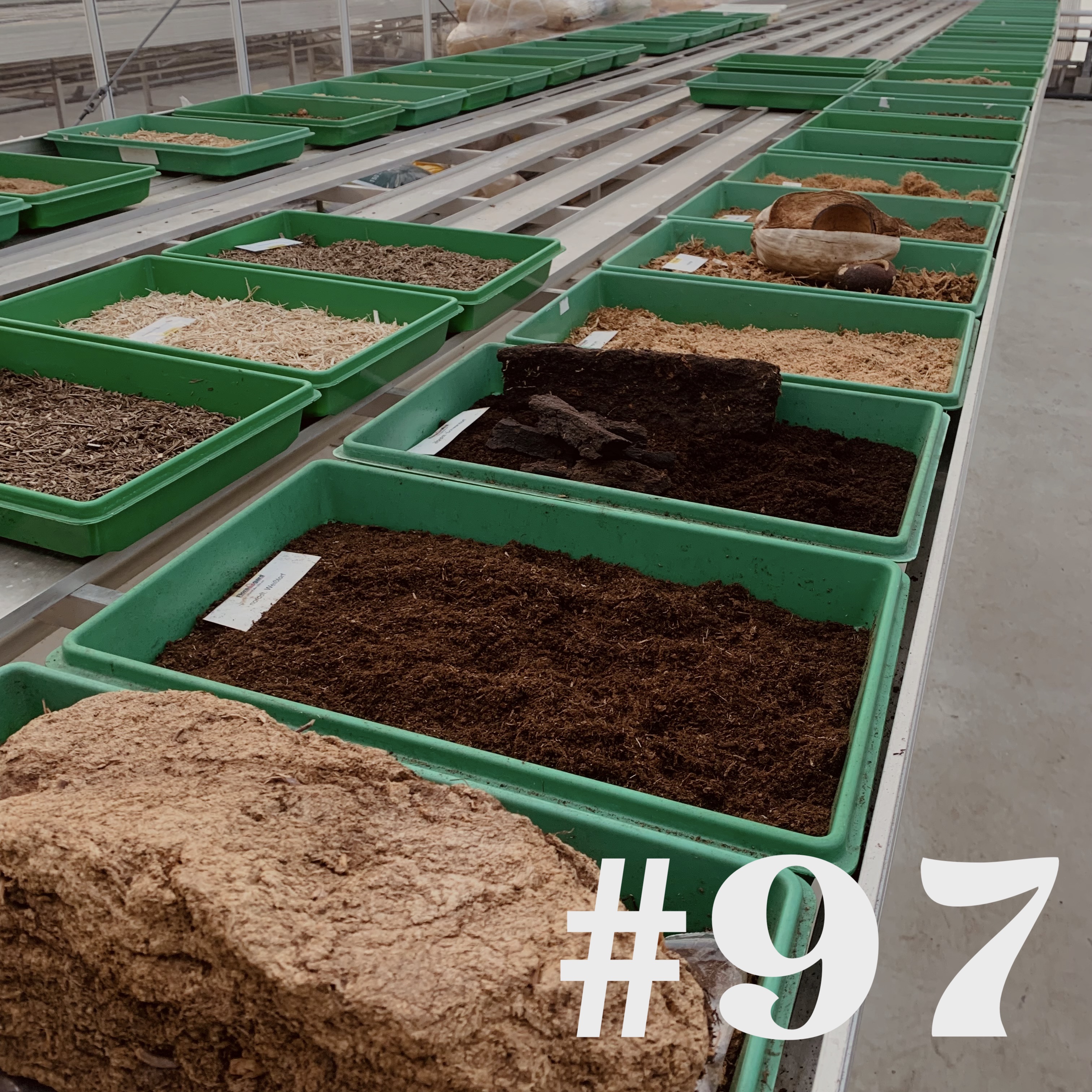 #97 - Laub kompostieren & Besuch bei Floragard episode artwork