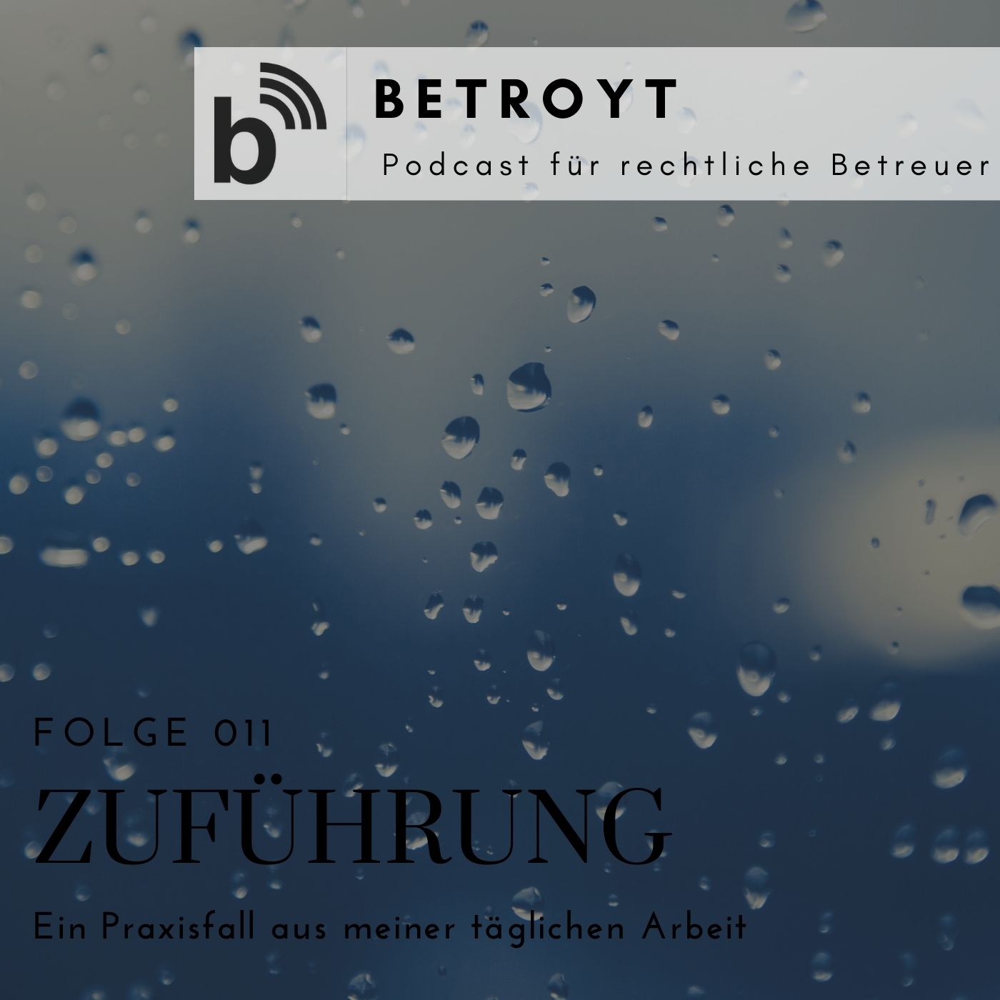Folge 011 Zuführung - Ein Praxisfall aus meiner täglichen Arbeit