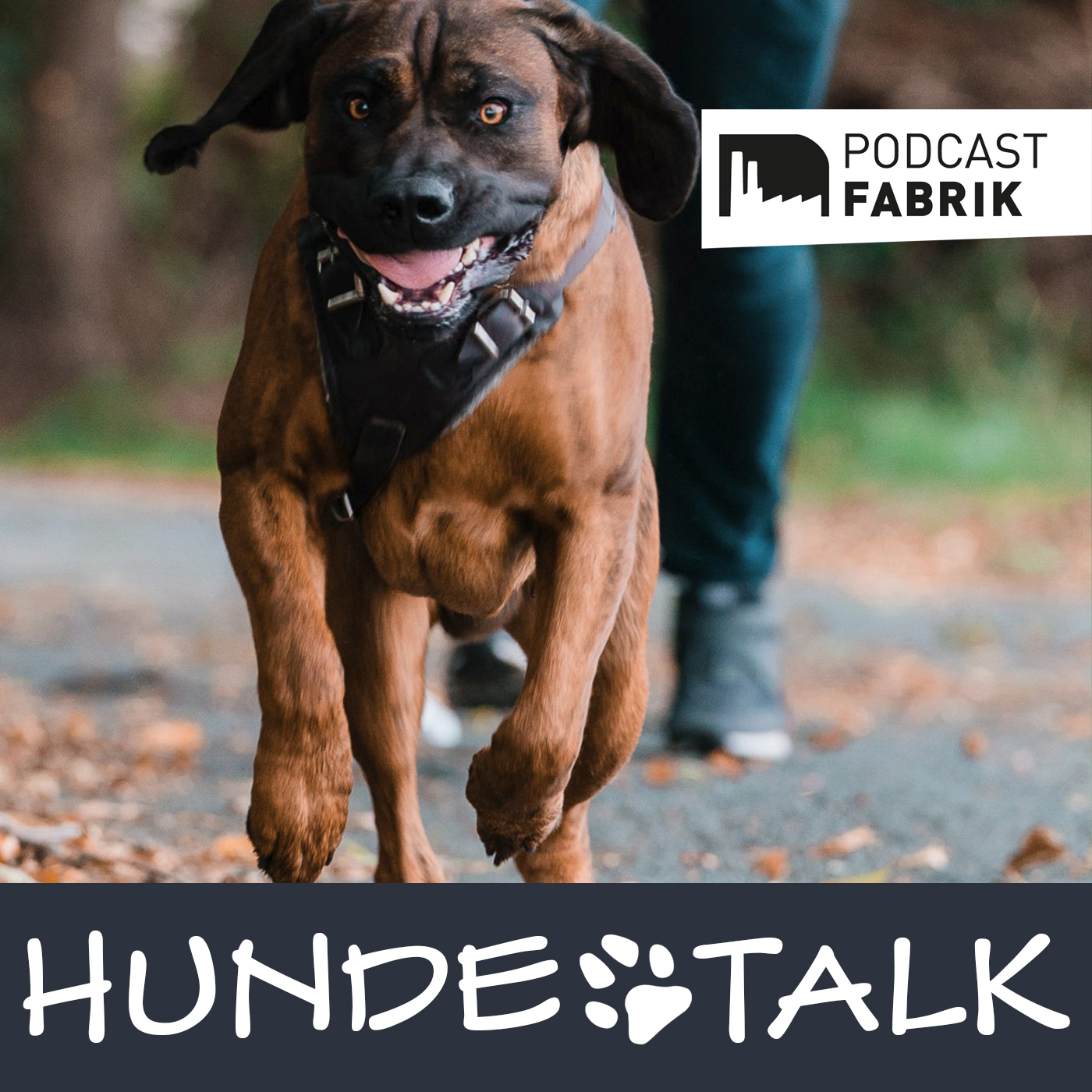 HUNDETALK - Dein Hunderunde-Podcast