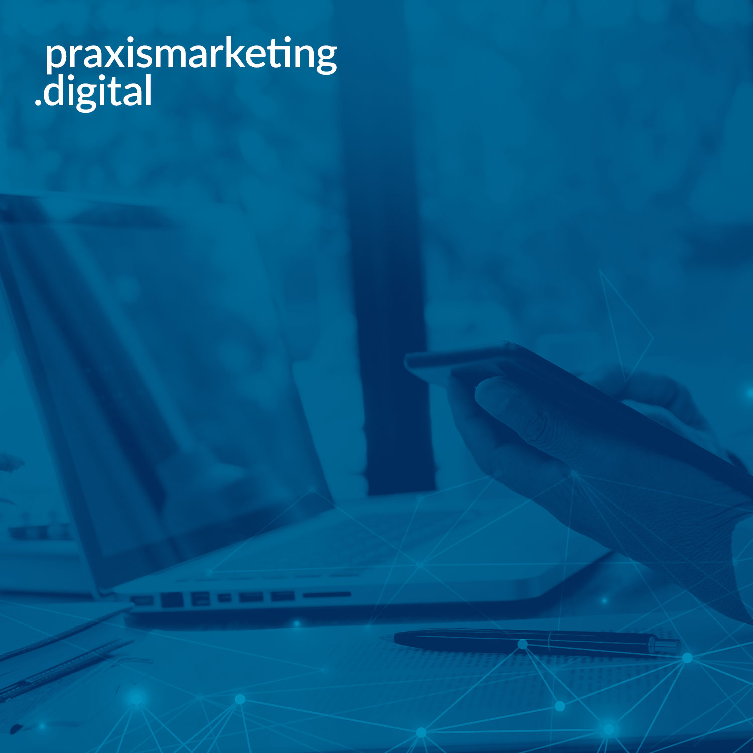 praxismarketing.digital