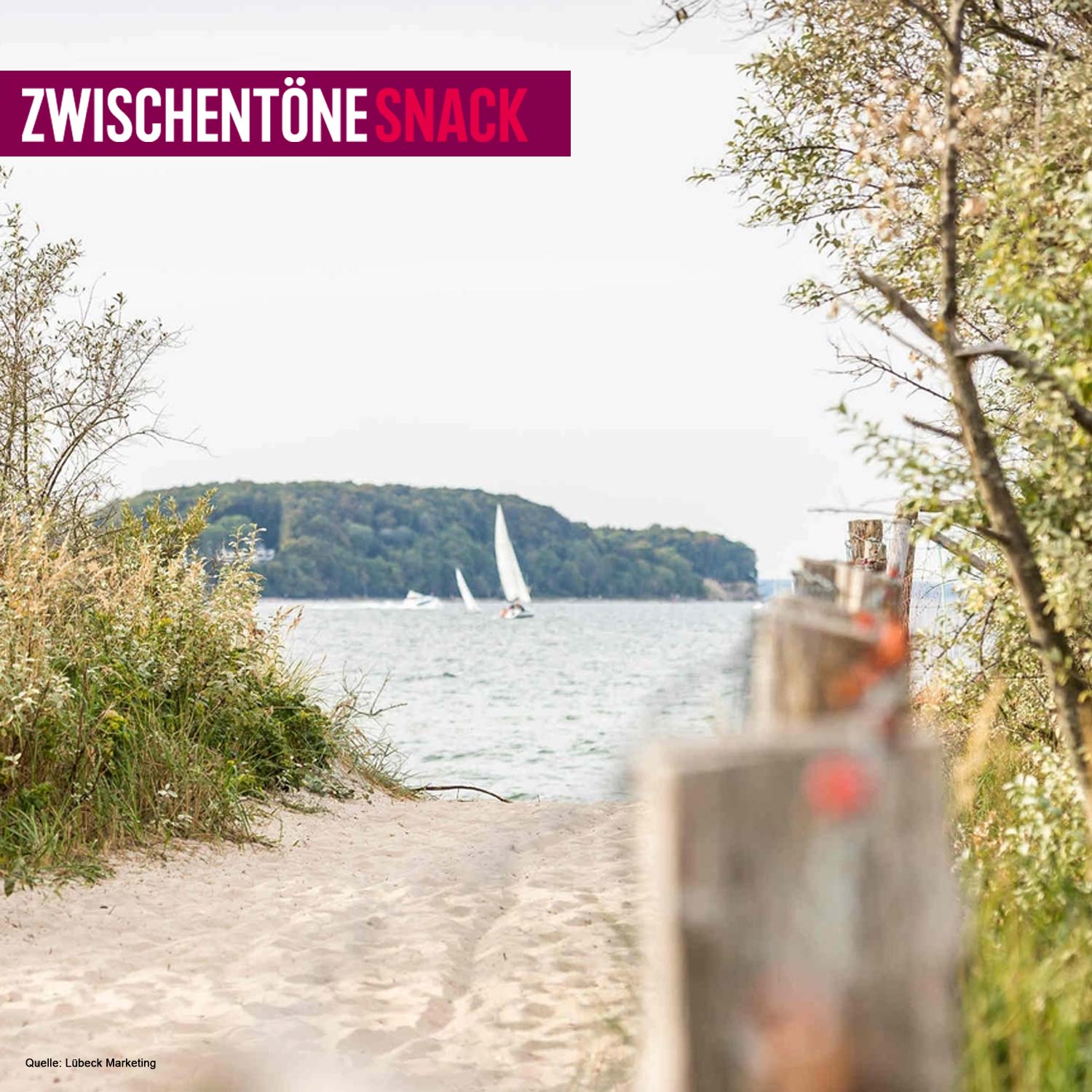 Drei Kilometer Halbinsel voller Möglichkeiten - Der Priwall episode artwork