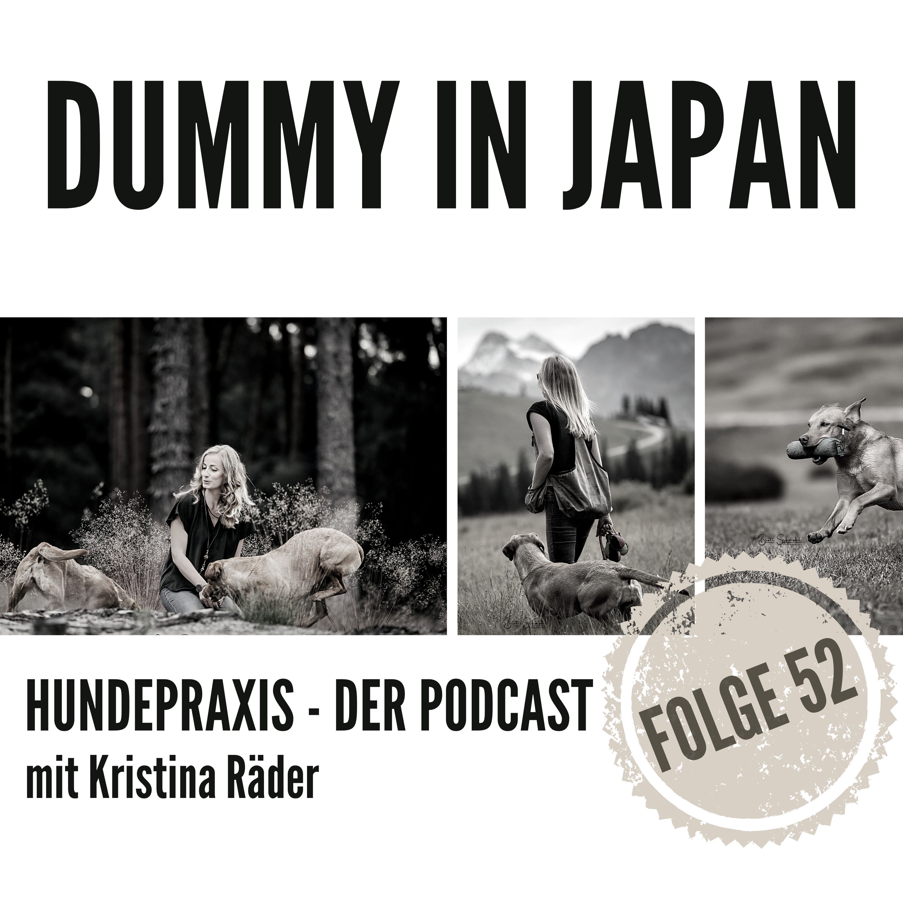 Hundepraxis - der Podcast