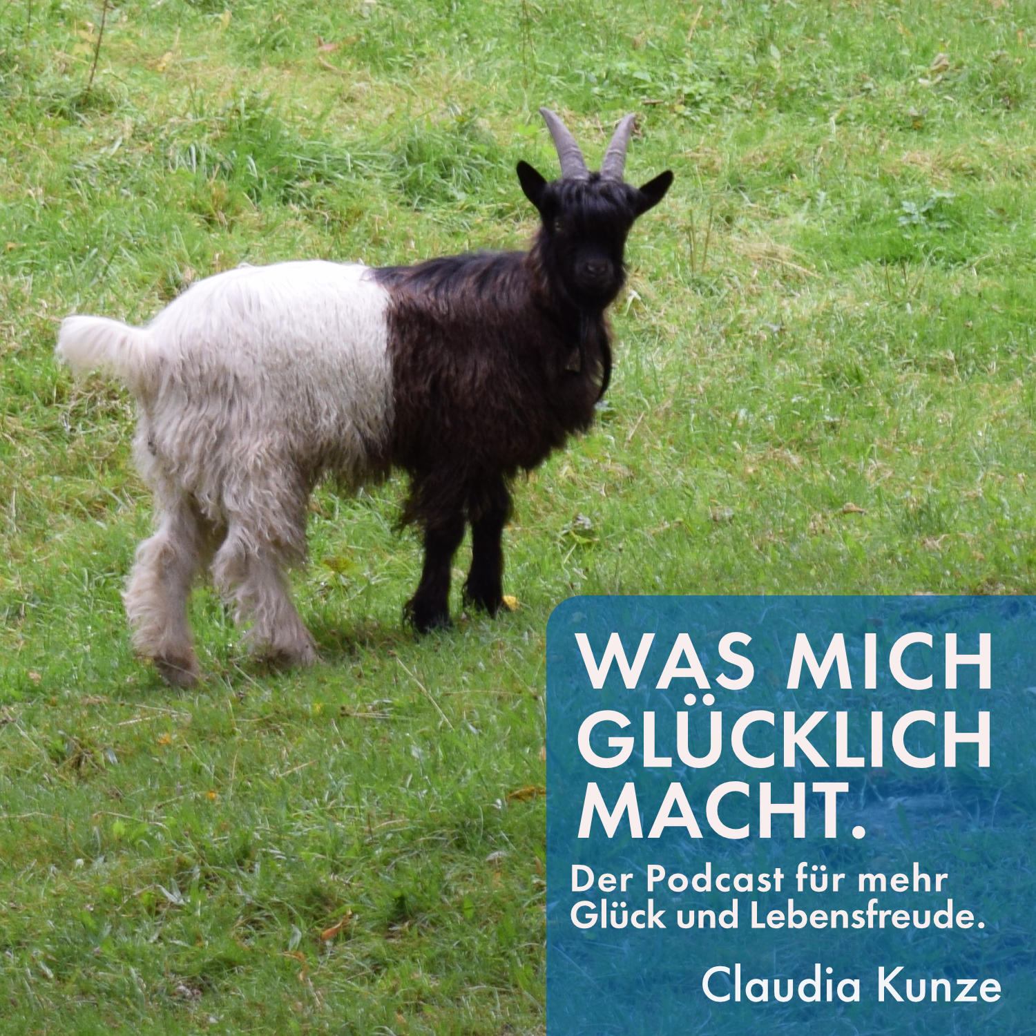 Was mich glücklich macht. Der Podcast für mehr Glück und Lebensfreude.