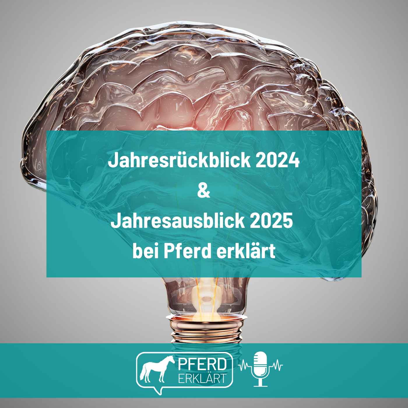 Jahresrückblick 2024 und Ausblick 2025 bei Pferd erklärt