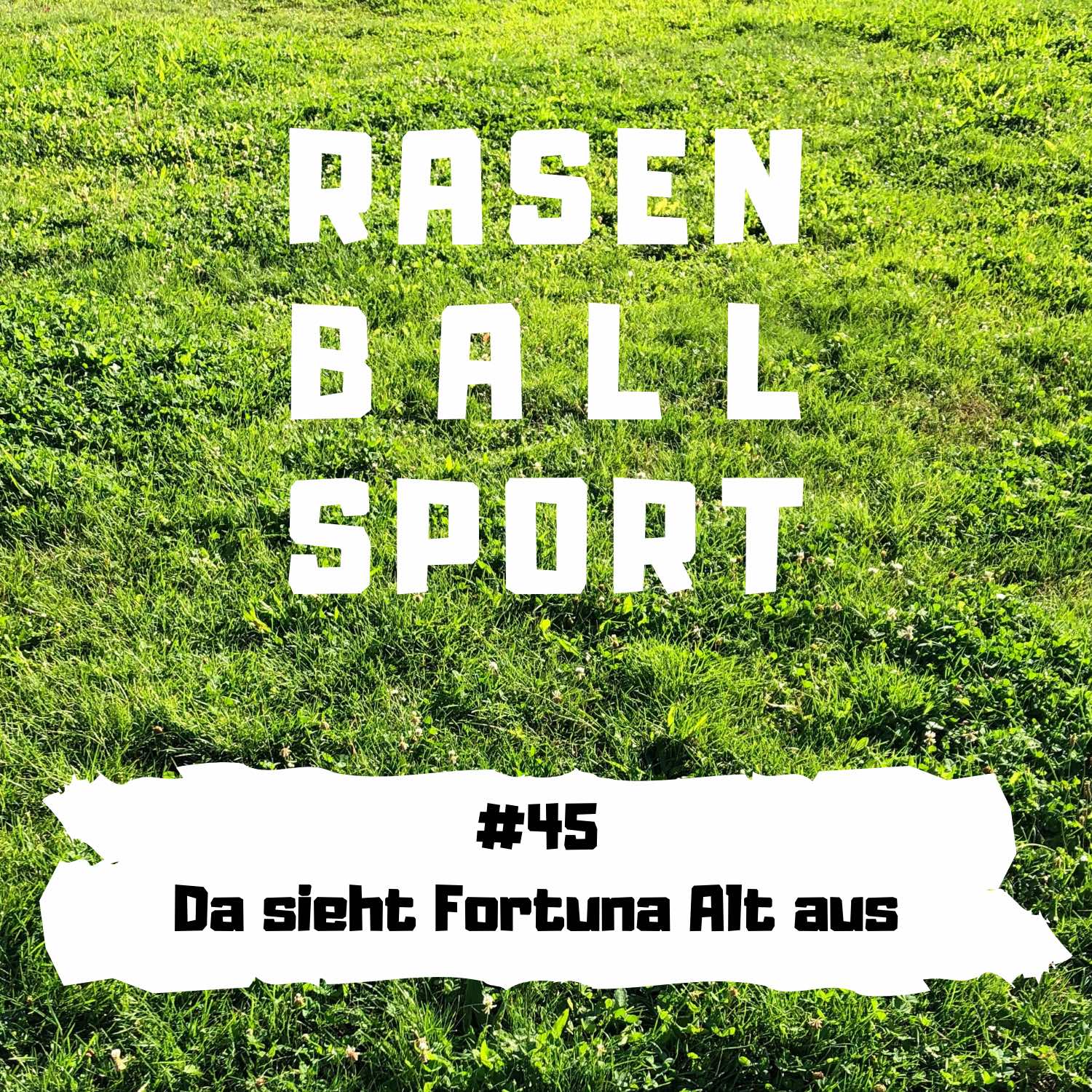 RASENBALLSPOTT