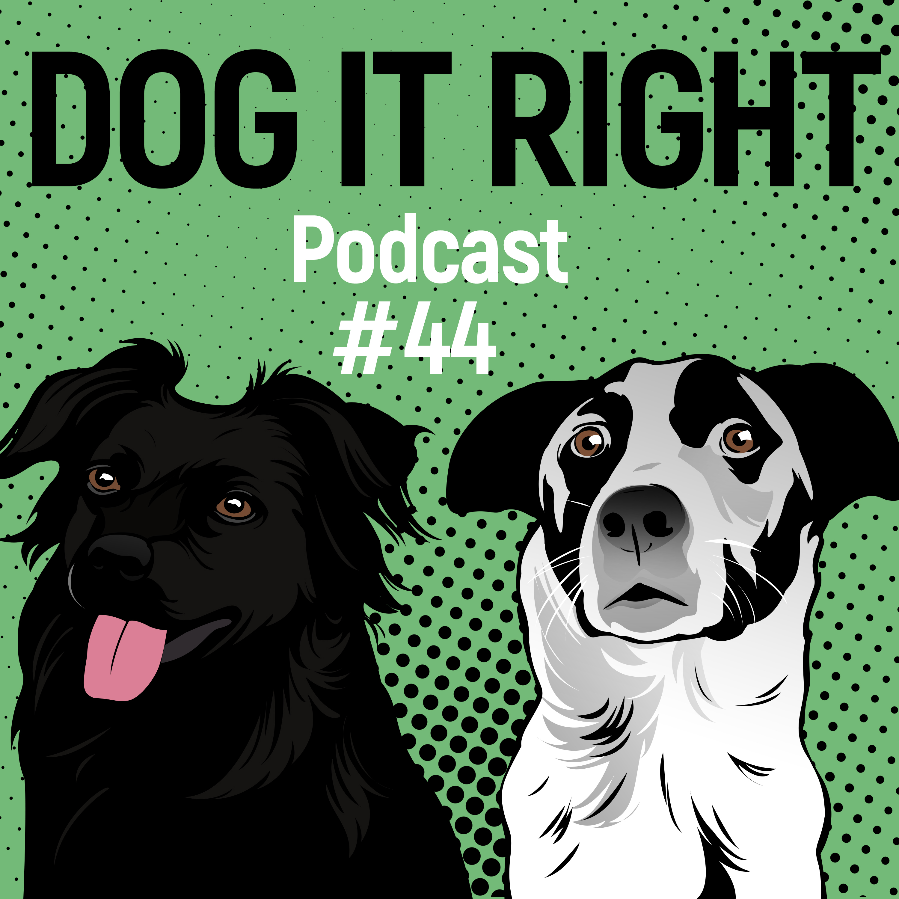 Dog It Right | Der Podcast für Hundemenschen