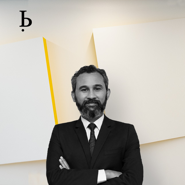 BARDEHLE IP Experts