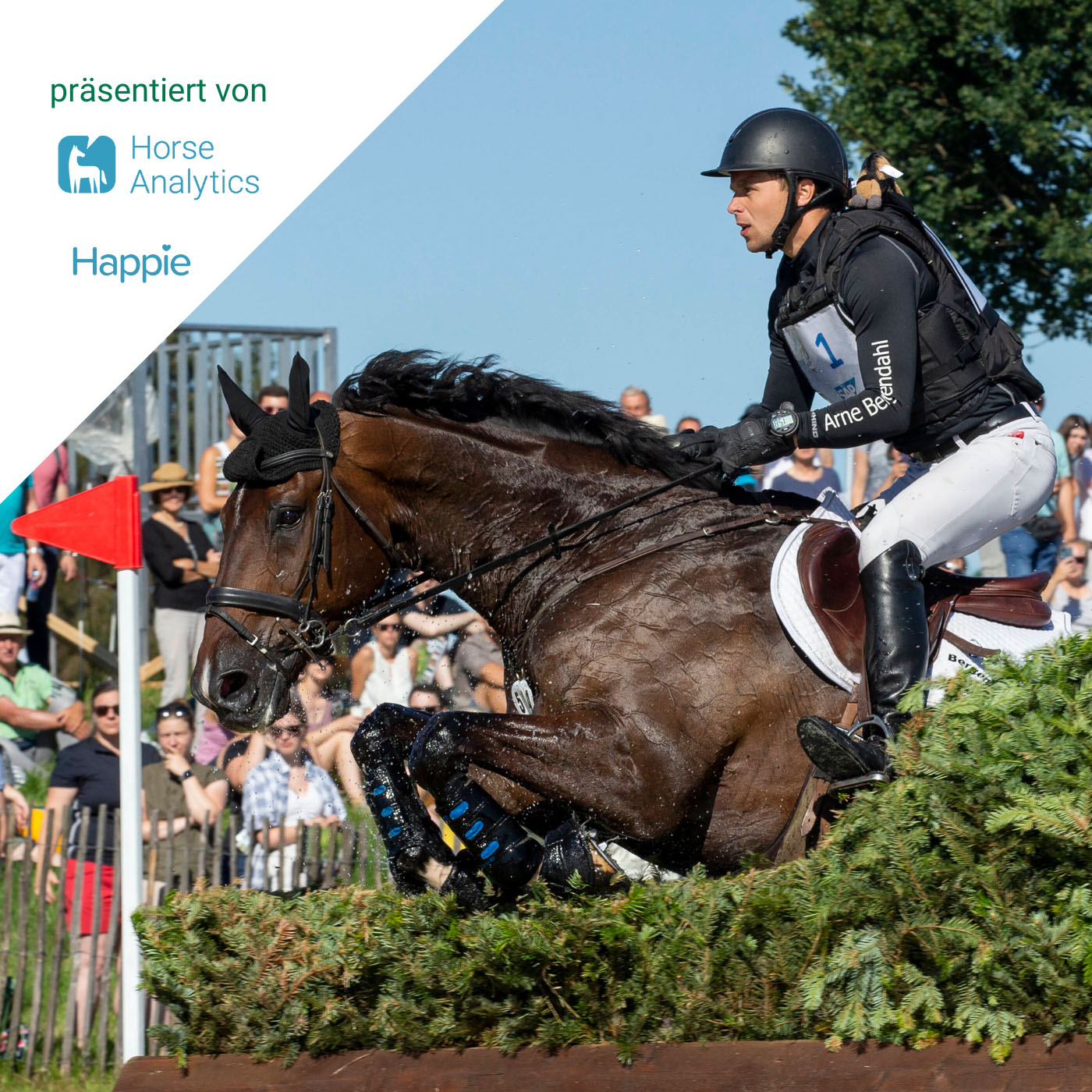 Julis Eventer Podcast