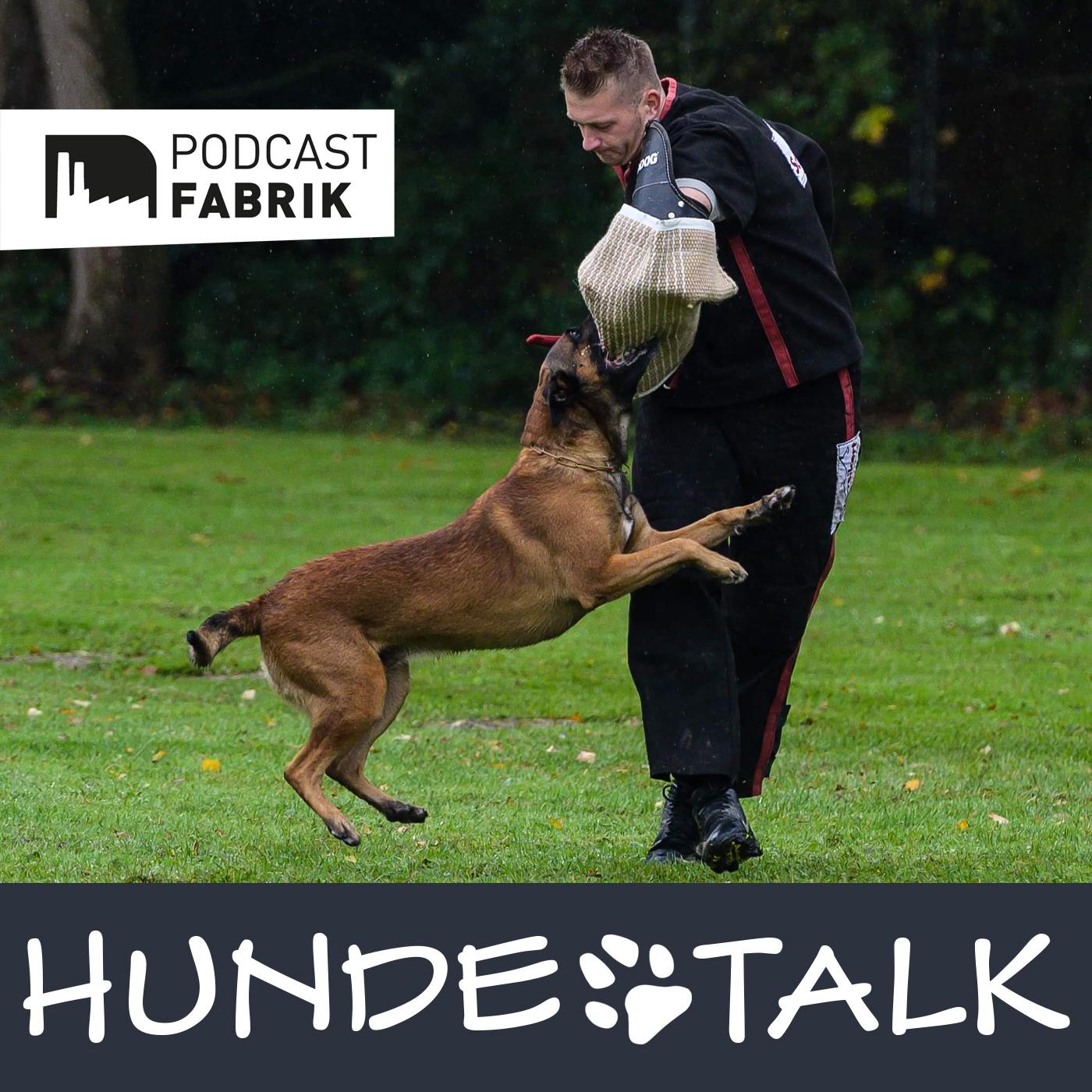 HUNDETALK - Dein Hunderunde-Podcast