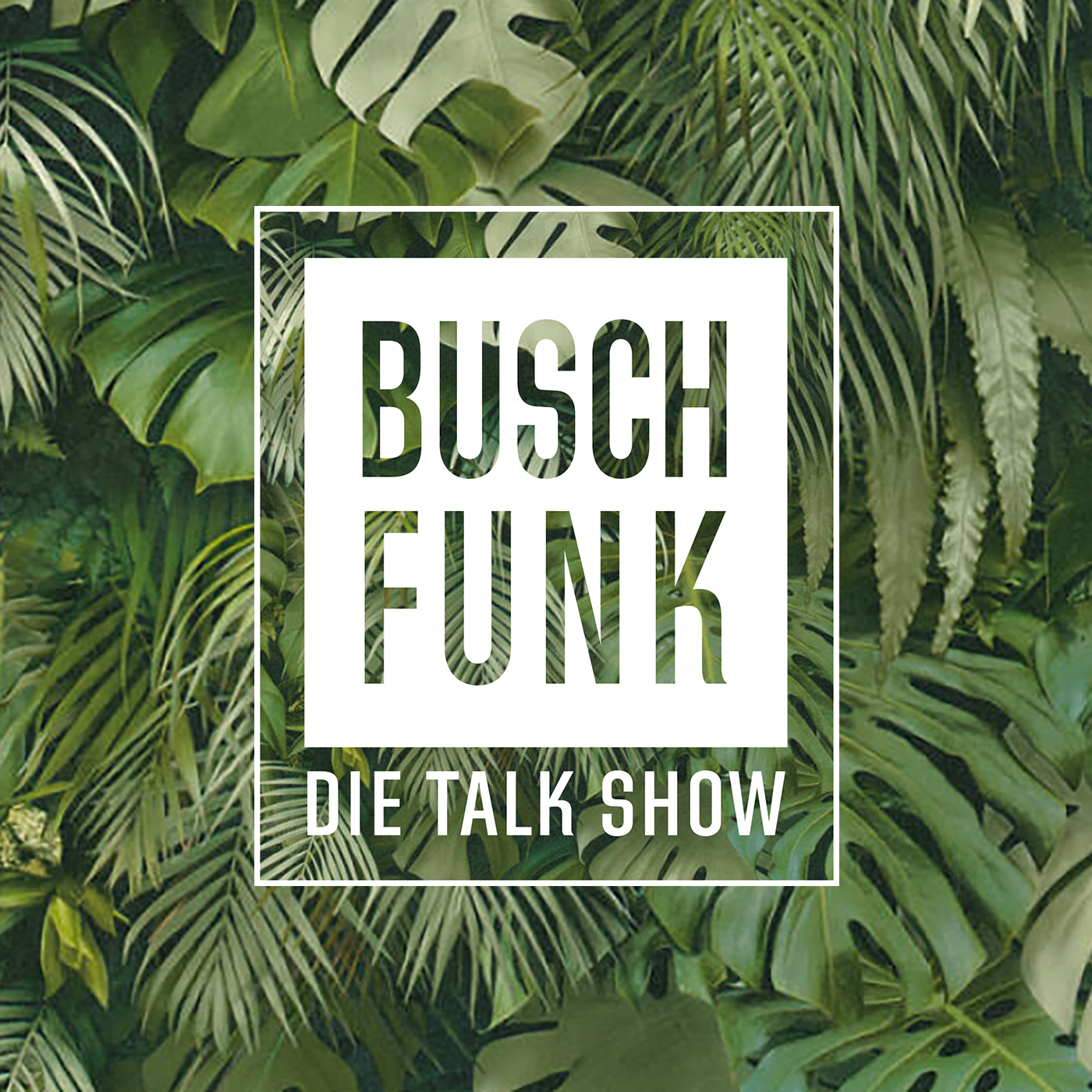 Buschfunk - Die Talkshow