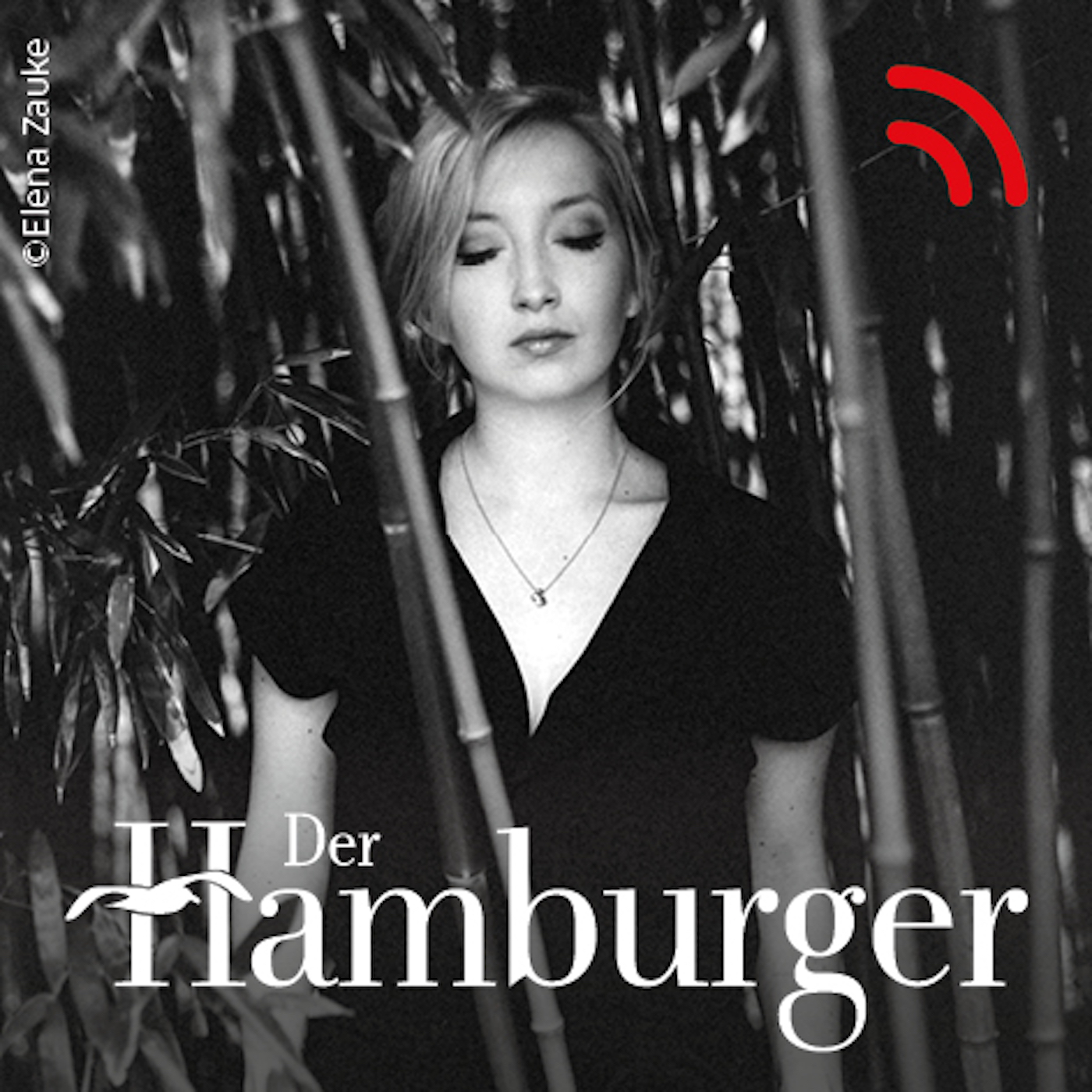 DER HAMBURGER Inside. Stimmen dieser Stadt