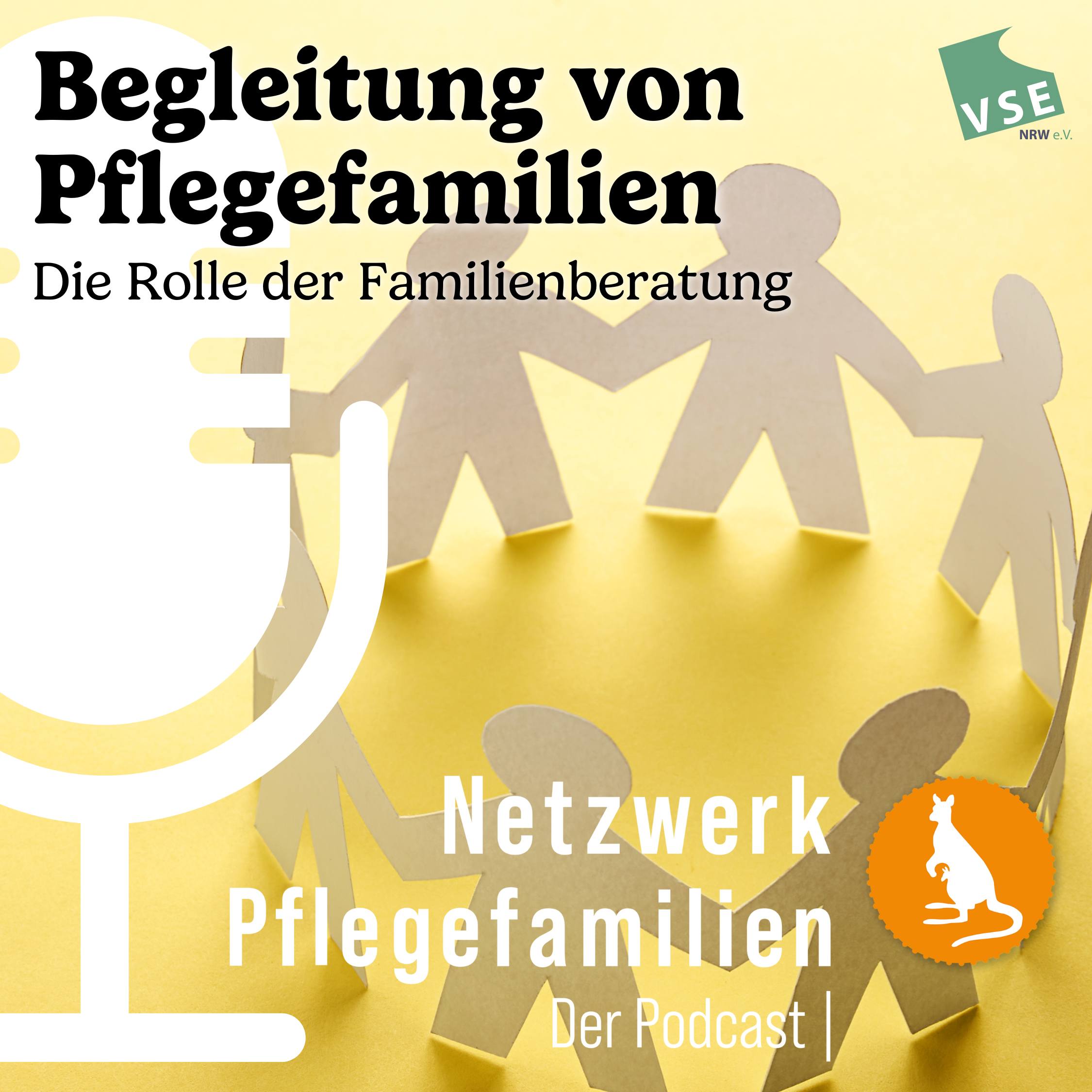Netzwerk Pflegefamilien - Der Podcast
