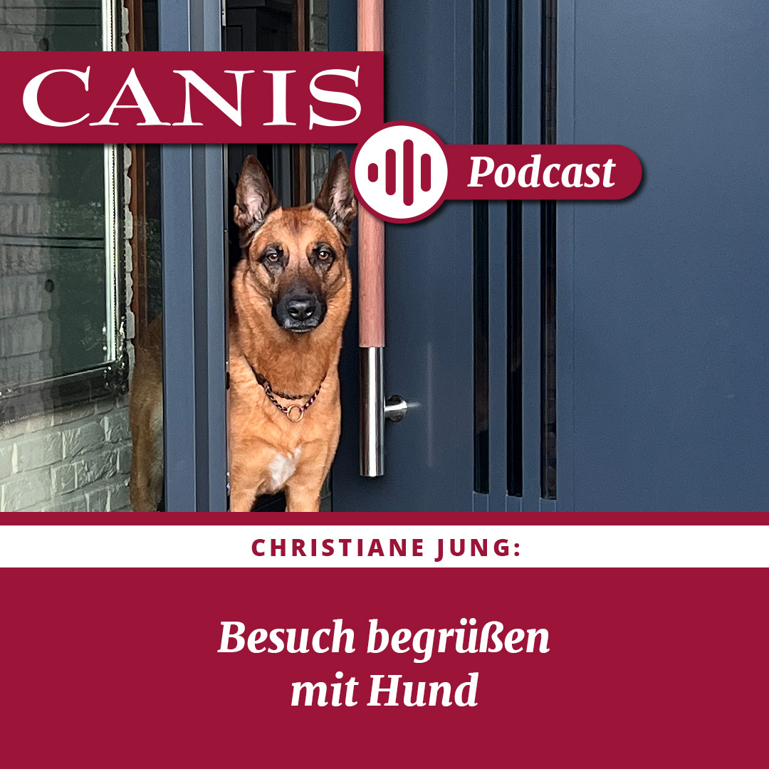 Der CANIS-Podcast – Hundeexpert:innen ausgefragt