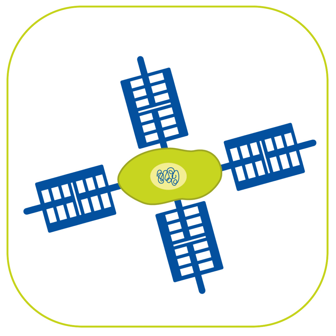 006_Vitalzeichen mit Malin Schmidt