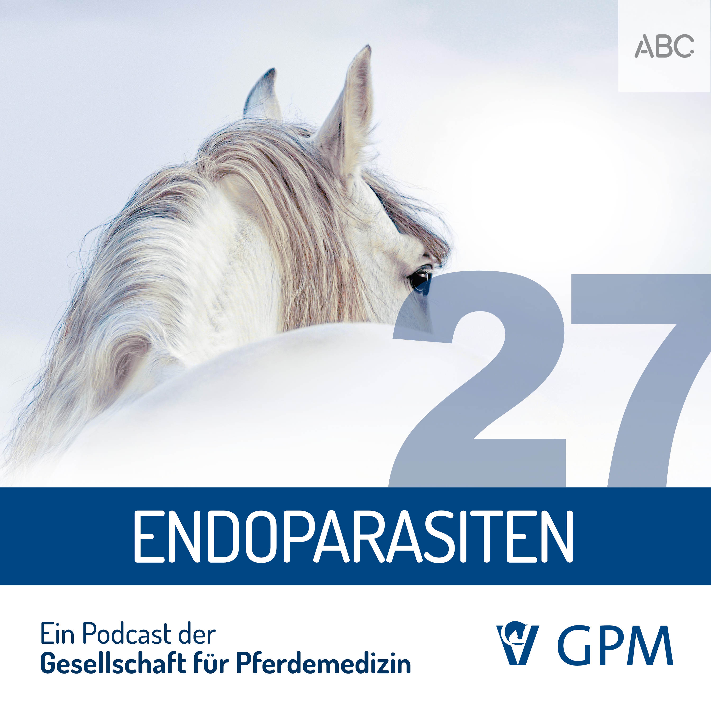 Pferdemedizin heute