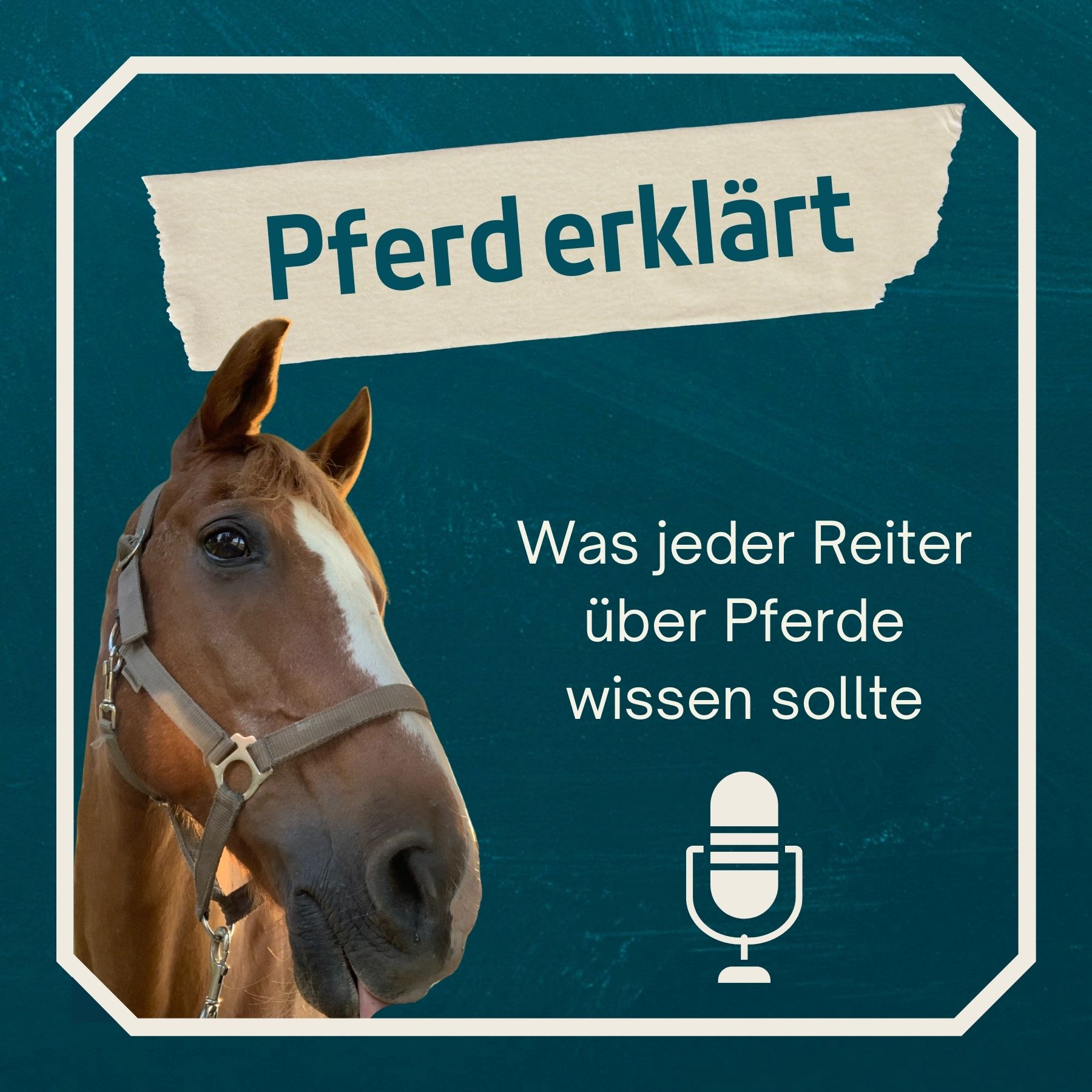 Pferd erklärt